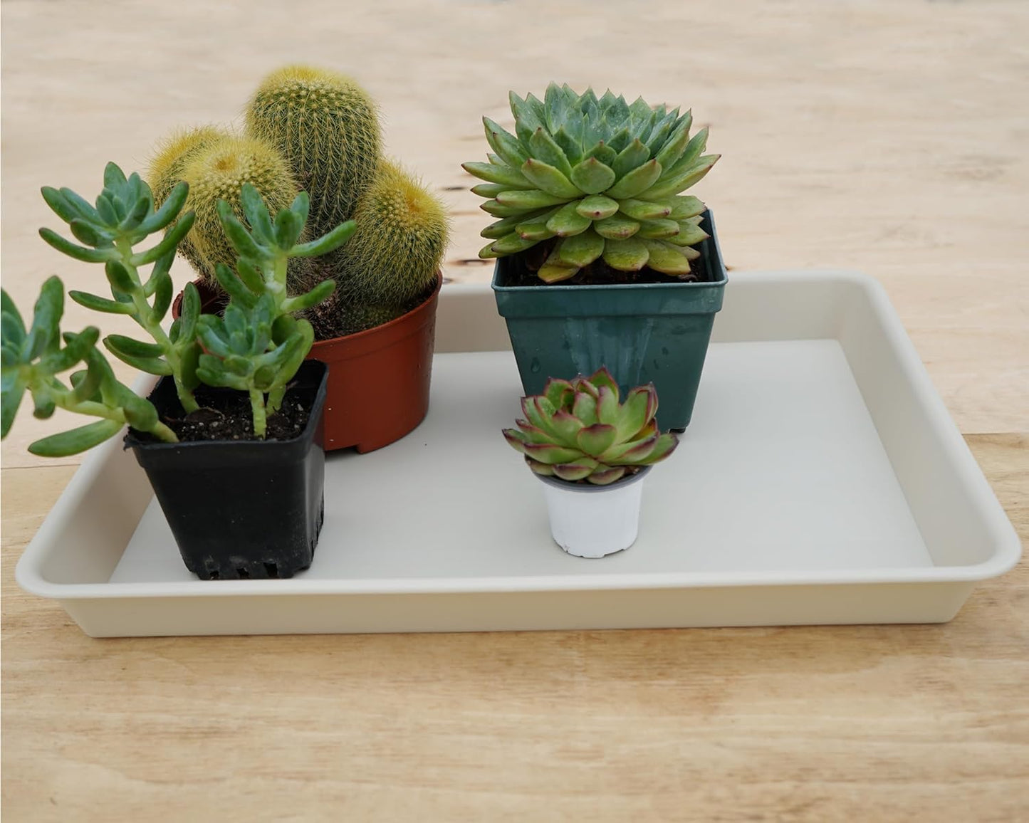 Rectangle Plant Tray, Plant Drip Tray, Plant Pot Saucers, Plant Germination Trays, Plant Saucers, 14.5'' x 11'' x 1.5'' (4 pack), Beige