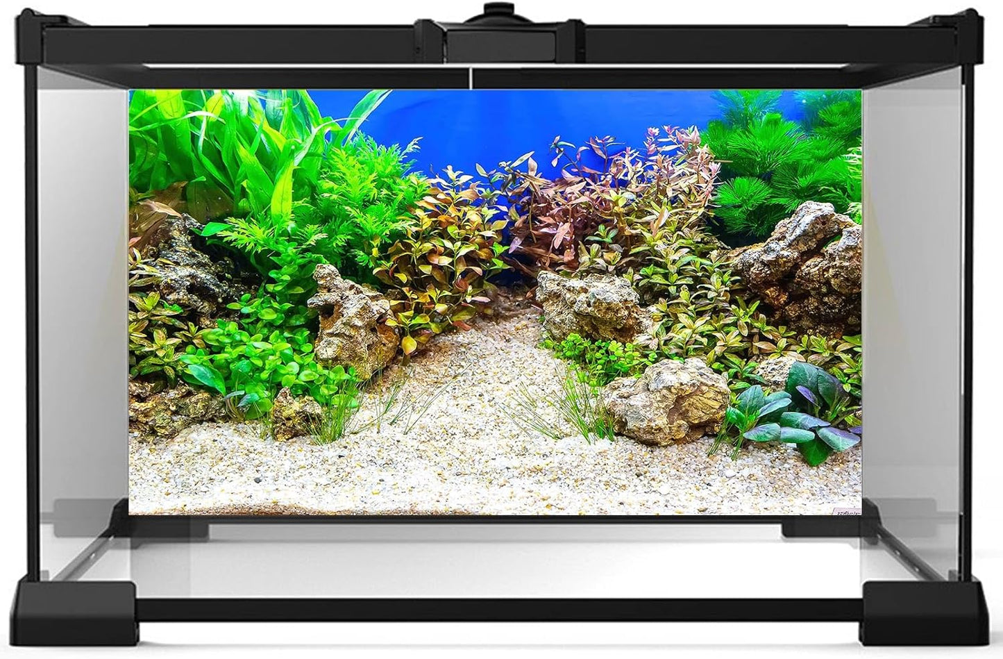 Aquarium Background Underwater Grass Leaves with Pebble Aquarium Backdrop Vivid and Fresh Green Aquatic Plant Stone River Bed and Lake Fish Tank Background Decor Vinyl 36x18in