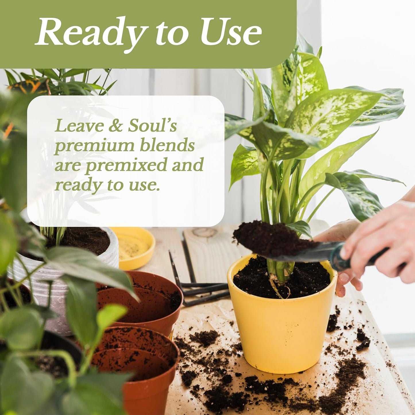 Succulent Soil Premium All Purpose Blend | Large 2.2 Quarts | Pre-Mixed Ready to Use for Cactus and Succulents | Canadian Peat, Course Sand, Pinebark | Made in USA