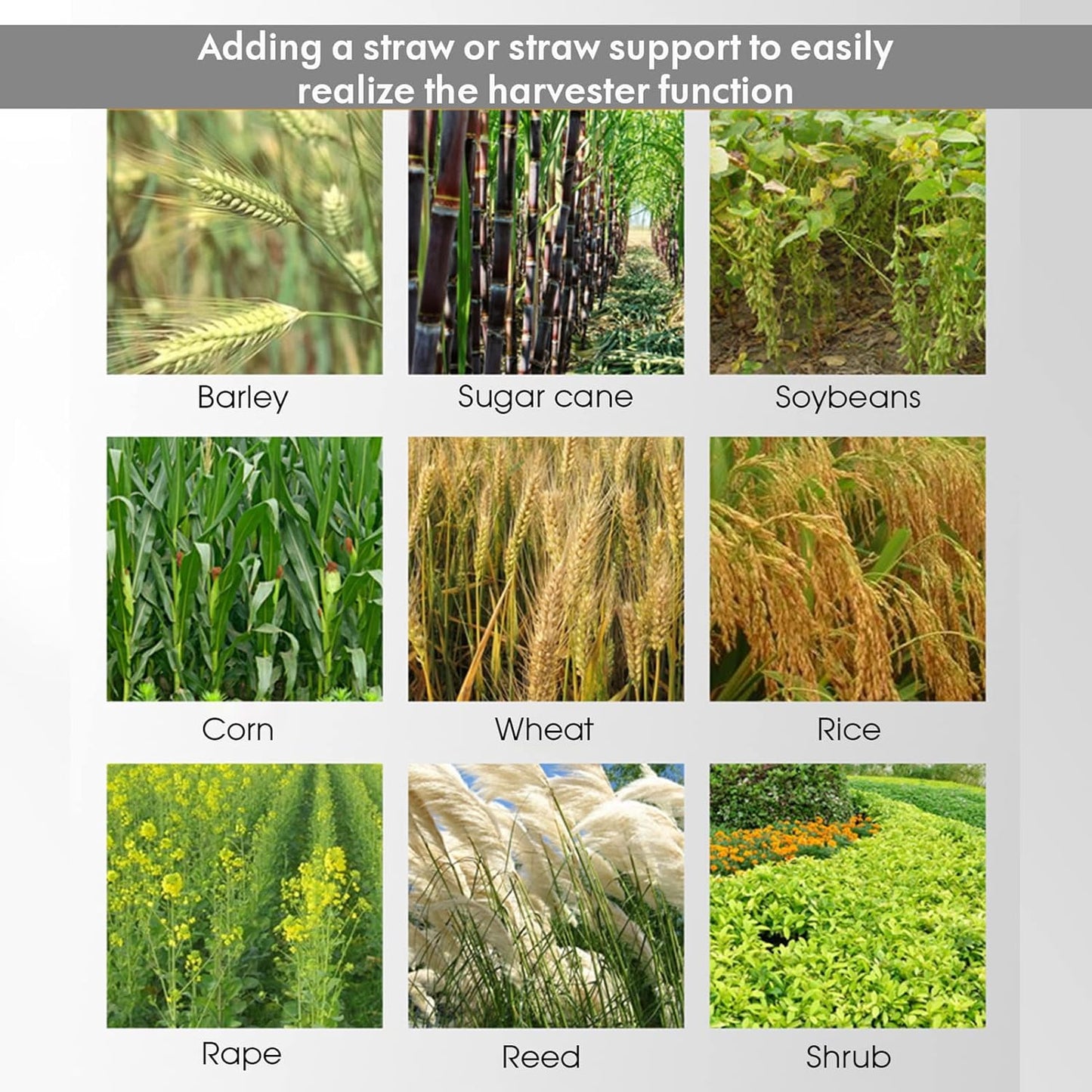 Gas Weed Wacker Cordless 2 in 1 String Trimmer, 52cc 2 Cycle Weed Eater with Anti-Slip Handle Brush Cutter Garden Tools Edger Lawn Tool (Orange)