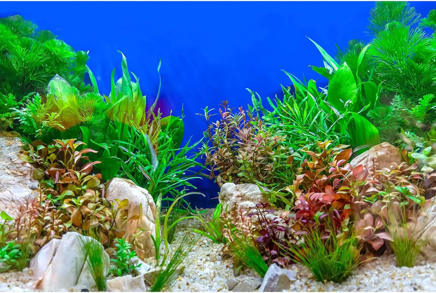 Aquarium Background Green Aquatic Plant Stone River Bed and Lake Fish Tank Background Decor Underwater Grass Leaves with Pebble Aquarium Backdrop Perfect Fish Tank Decors Vinyl 30x18in