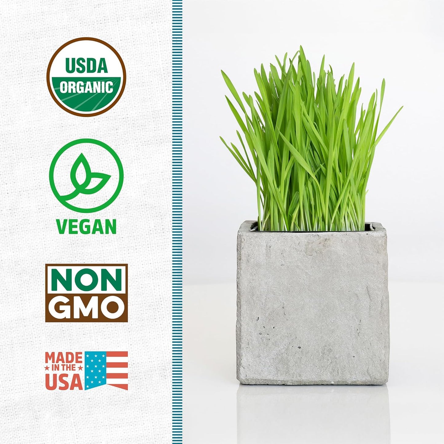 Back to the Roots Organic Wheatgrass Seeds – 2lb Non-GMO Value Pack; Great for Growing Nutritious Wheatgrass, Also Catgrass (Natural Hairball Remedy for Cats)