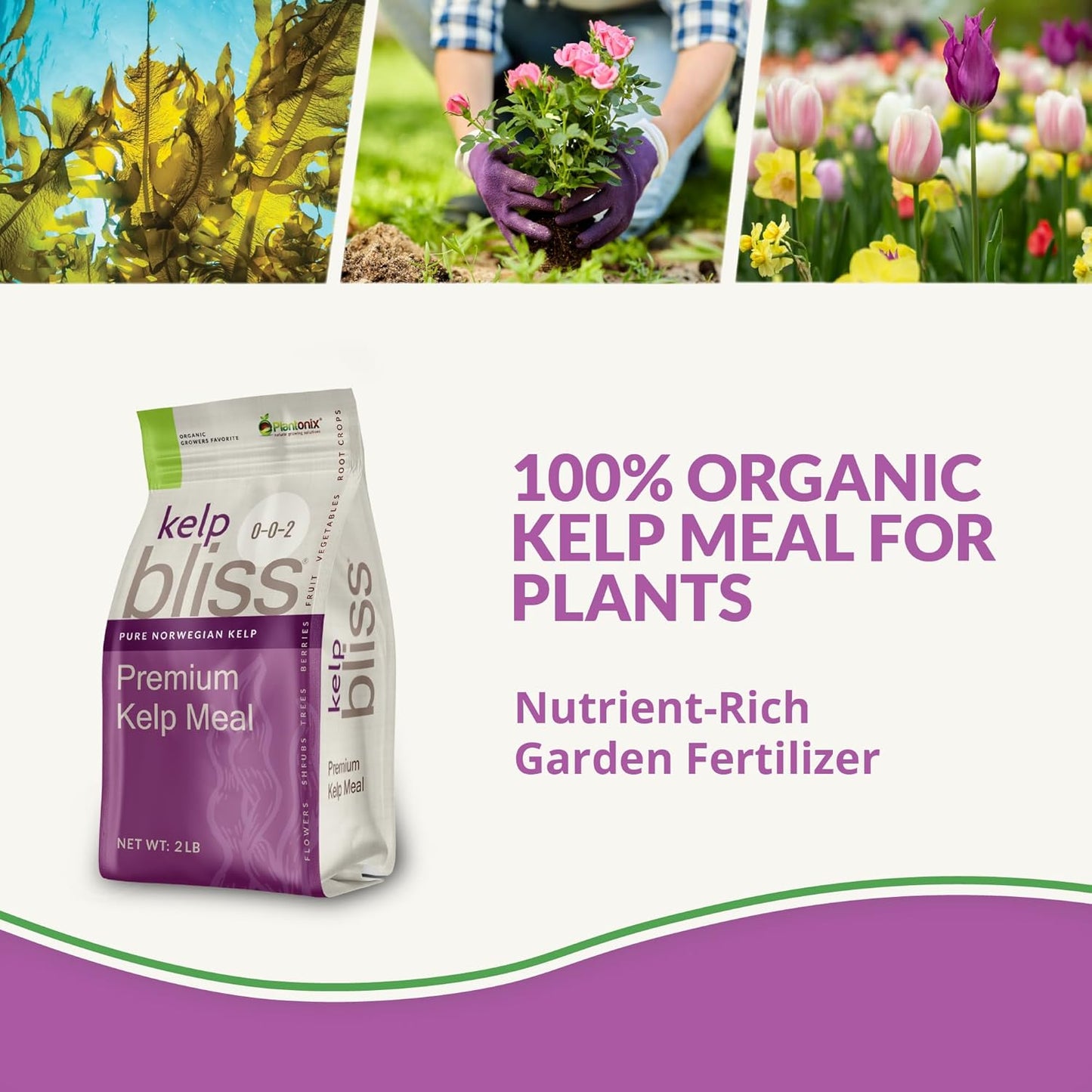 Kelp Meal Organic Fertilizer (2lbs) - Kelp Fertilizer for Plants, Garden Soil, Flowers, Vegetables, & Lawns - Organic Plant Food Rich in Vitamins & Nutrients - 100% Natural Renewable Soil Amendment