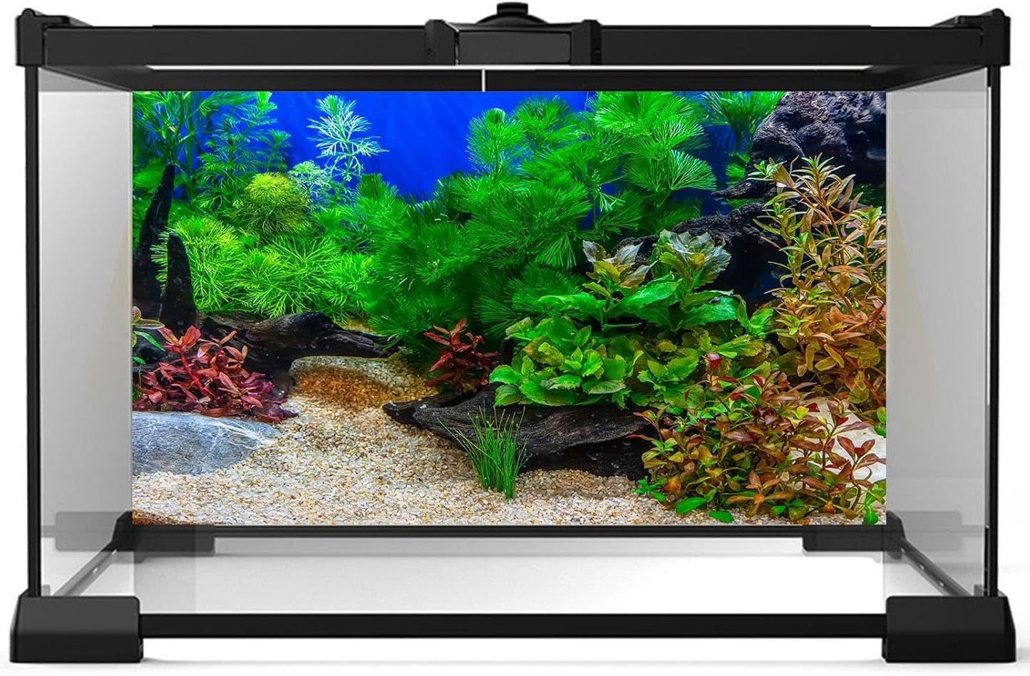 Aquarium Background Underwater Grass Leaves with Pebble Fish Tank Background Vivid Green Aquatic Plant Terrarium Background Stone River Bed Dead Wood Tank Background 36x18in