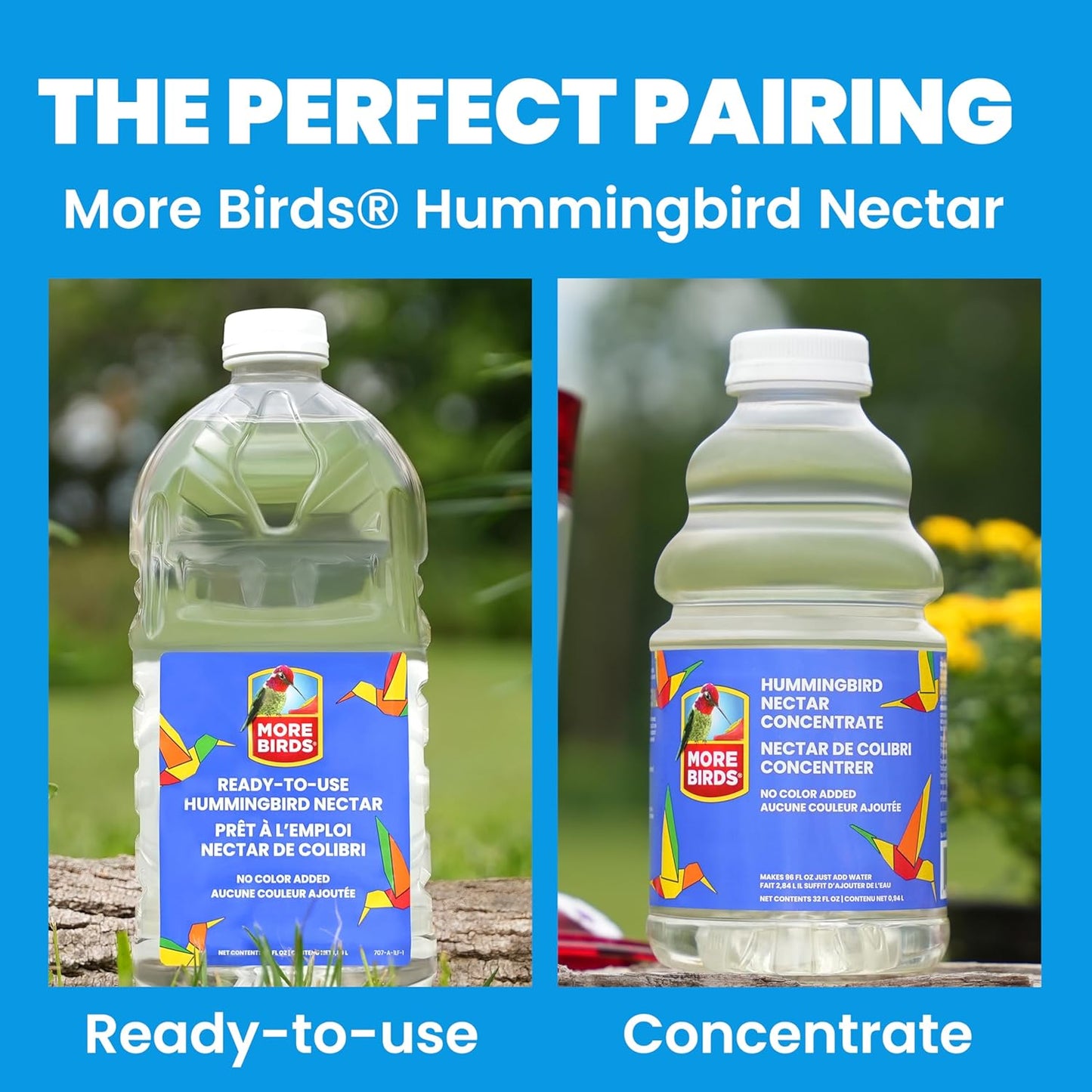 More Birds Bird Health+ Big Gulp Hummingbird Feeder, Glass Hummingbird Feeders for Outdoors, 5 Feeding Stations, 40 Ounces