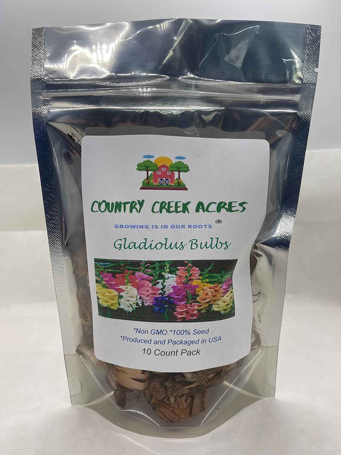 Gladiolus, Bulb (10 Pack) Pastel Mixed, Mixed Perennial Gladiolus Bulbs, Flowers