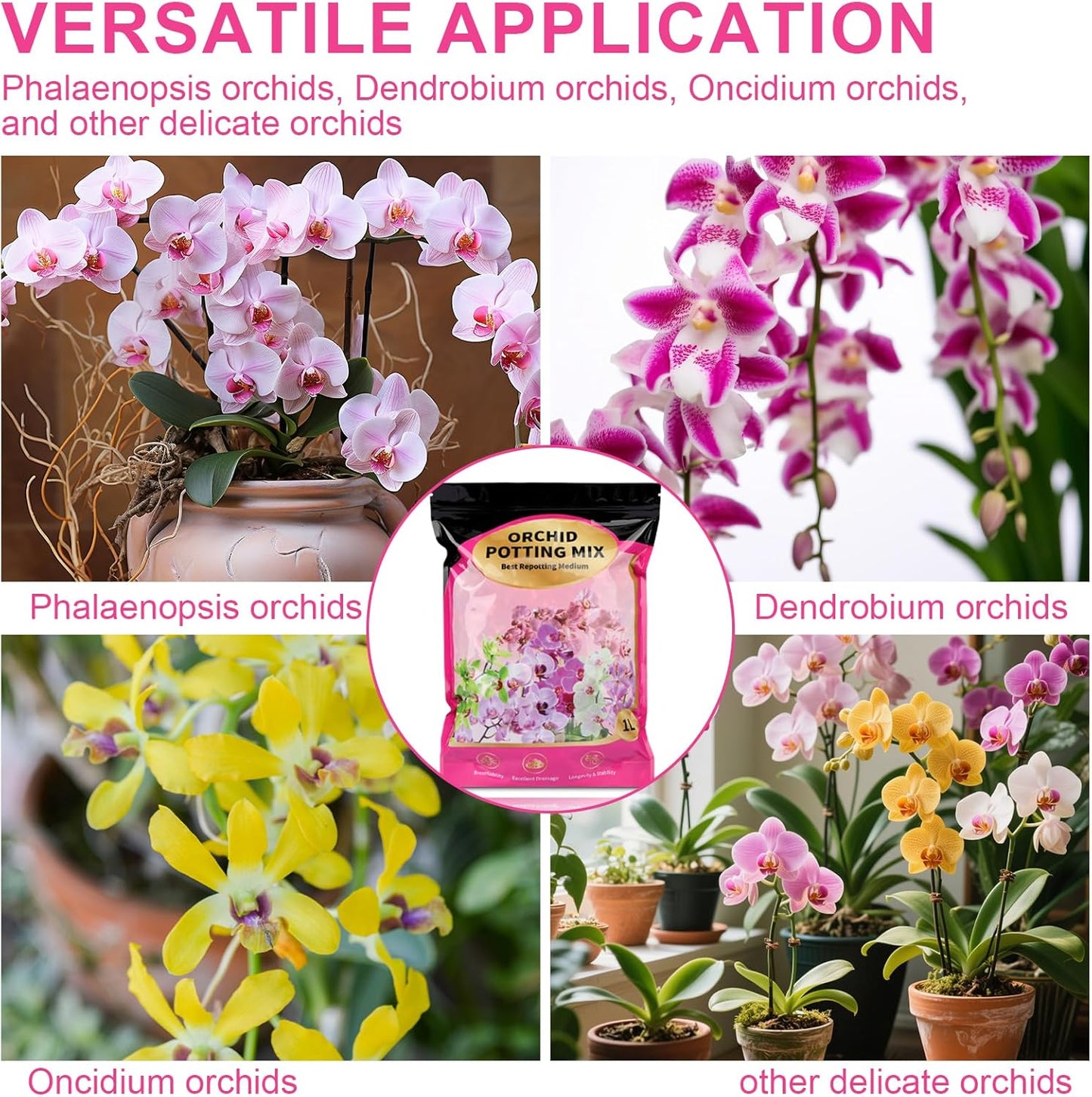 Doter Organic Orchid Potting Mix & Bark Blend 1qt - All Natural, Fast Draining Soil for Phalaenopsis, Dendrobium, Oncidium Plants