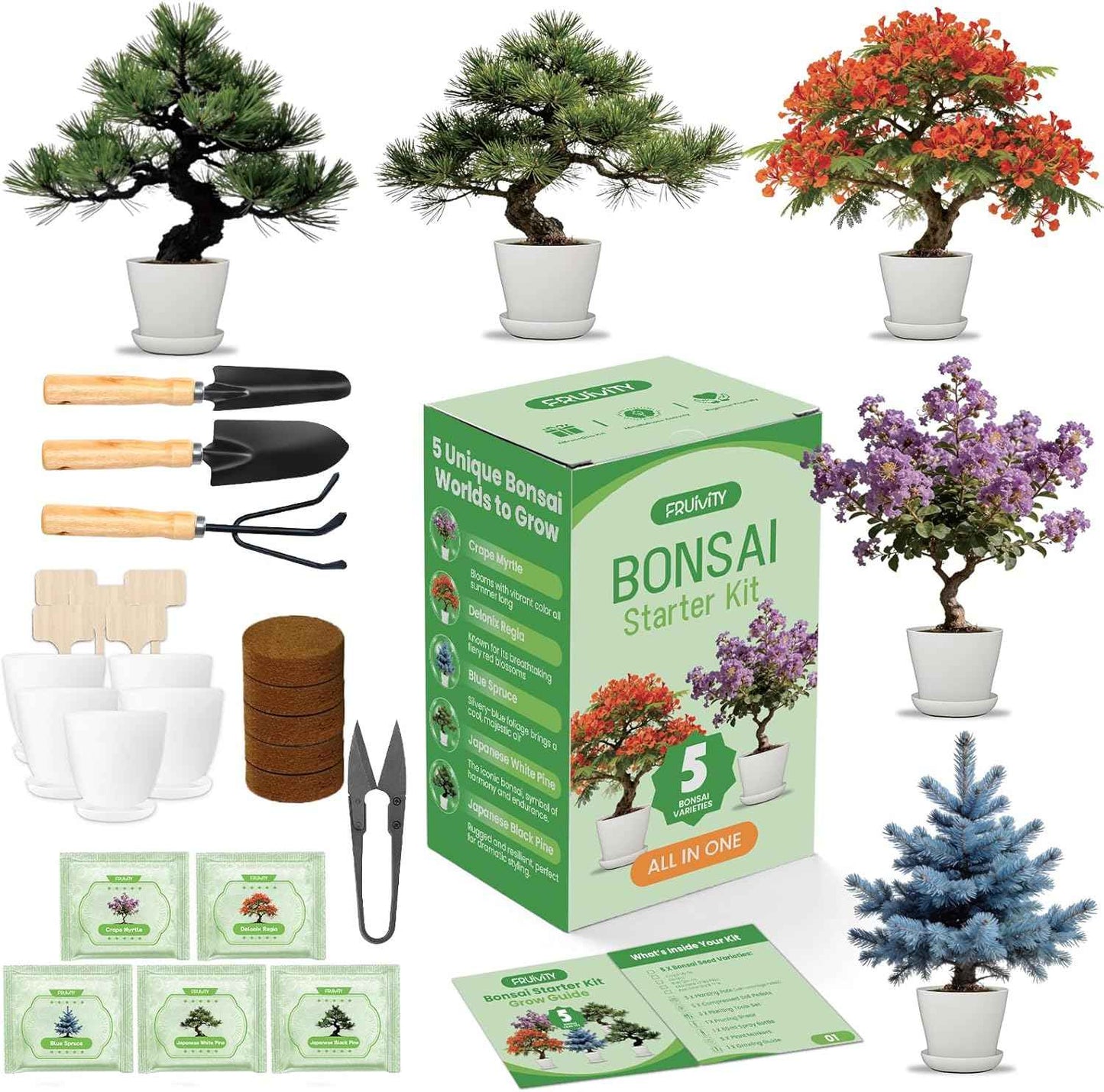 Bonsai Tree Kit for Beginners – 5 Bonsai Starter Kit for Beginner, Indoor for Growing Bonsai Plants with Tools & Planters – DIY Craft Gardening Gifts, White Elephant Gifts for Adults Men Women