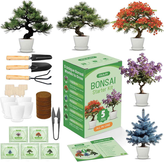 Bonsai Tree Kit for Beginners – 5 Bonsai Starter Kit for Beginner, Indoor for Growing Bonsai Plants with Tools & Planters – DIY Craft Gardening Gifts, White Elephant Gifts for Adults Men Women