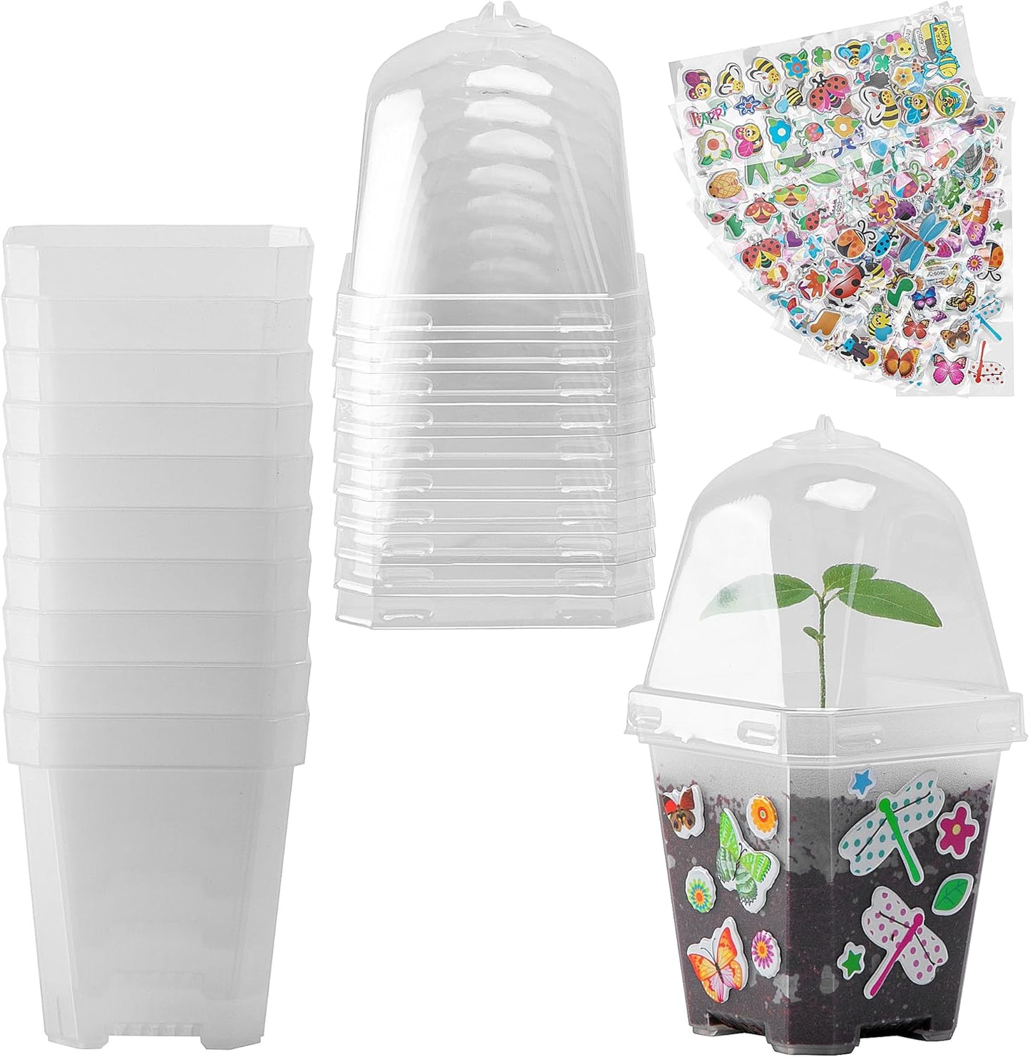 EBaokuup 10 Pcs Clear Plant Nursery Pots with Humidity Dome-3" Reusable Plastic Gardening Pot with Printed Labels-Small Seed Starting Pots for Seedlings,Vegetables,Succulents,Cuttings