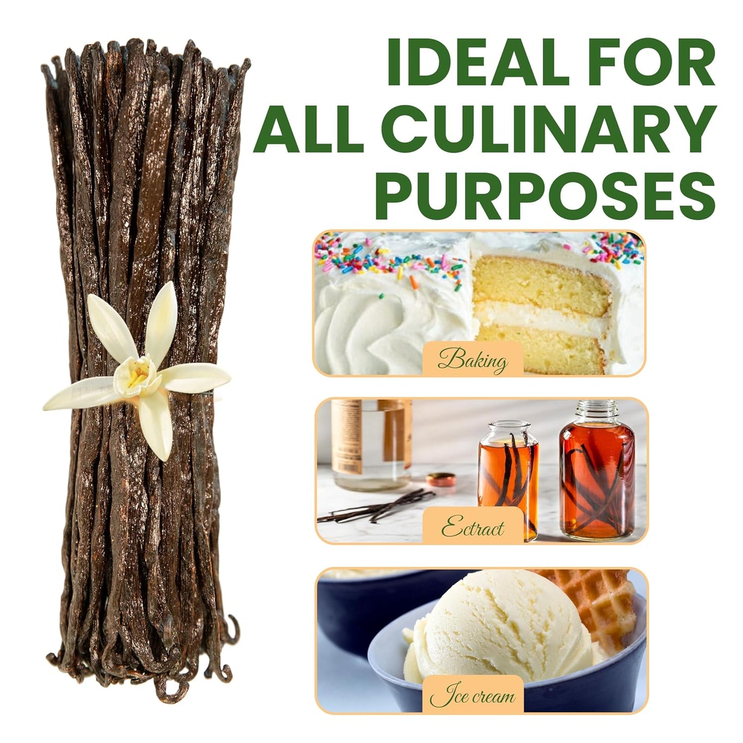 8oz (1/2 Pound) Count Organic Madagascar Vanilla Beans – Grade A Bourbon Pods | Gourmet Whole Vanilla Beans for Baking, Cooking, Extract Making | Rich Aroma, Premium Flavor, Non-GMO, Vegan