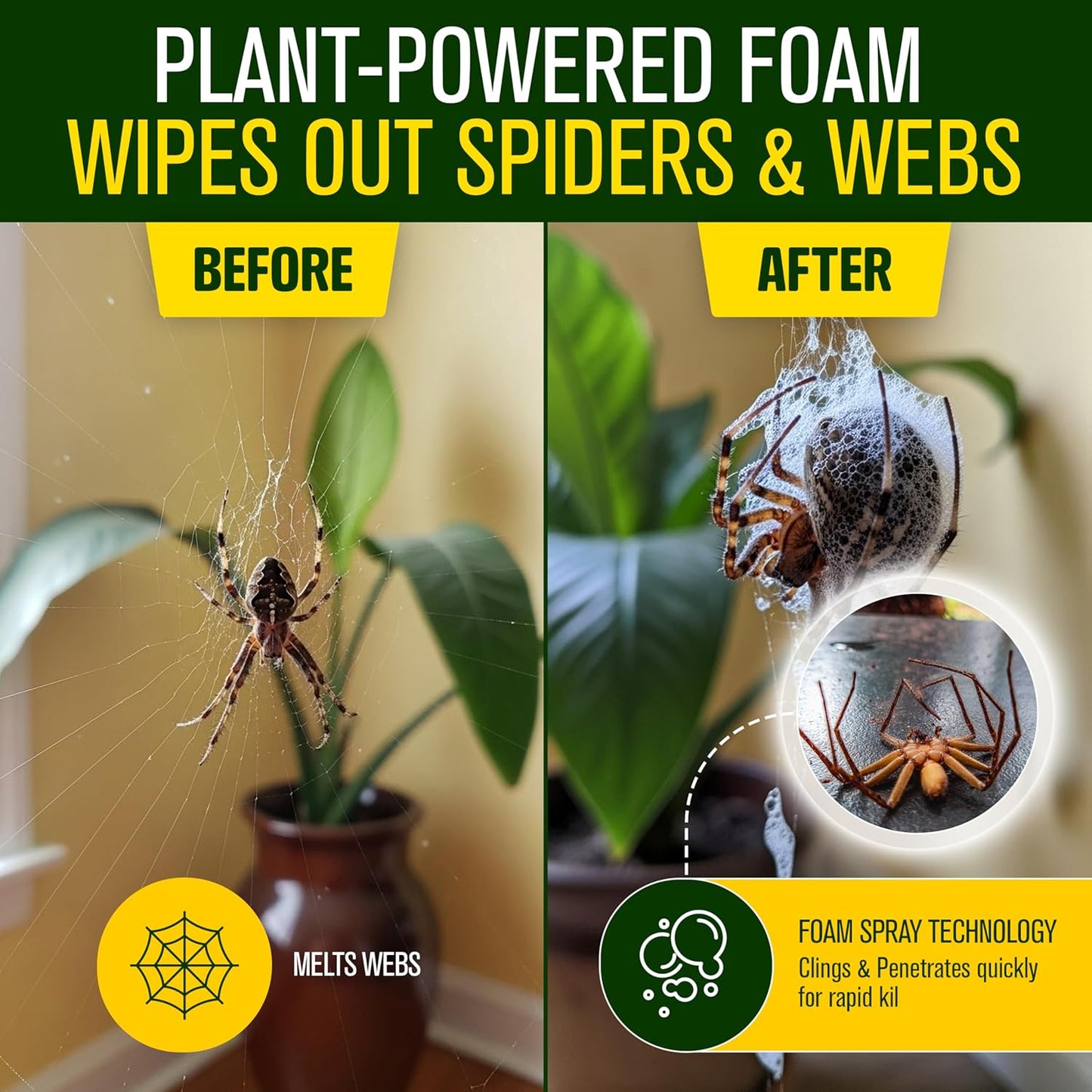 Green Guard Pest Control Spray - Indoor & Outdoor Killer of Ants, Roaches, Spiders & Other Crawling Insects, Safe Around Children & Pets, Plant-Based, Pleasant Scent (Peppermint Hit, 32oz)