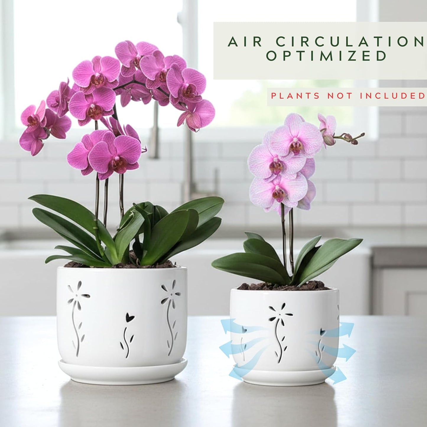 2 Pack, 5 + 6 Inch White Orchid Pots with Holes and Saucer, Ceramic Orchid Planters for Repotting with Drainage Holes and Tray, Plant Flower Pot containers for Orchid Indoor Outdoor