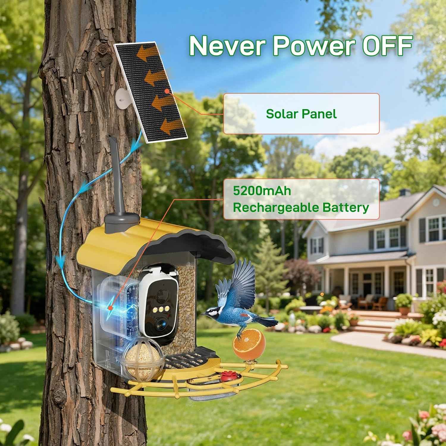 Smart Bird Feeder with Camera: Hummingbird Feeder with Solar Powered for Outdoors, Bird House with 2K HD Video & AI Bird Species Identification, Arrival Alerts, Gift for BirdLovers - Yellow