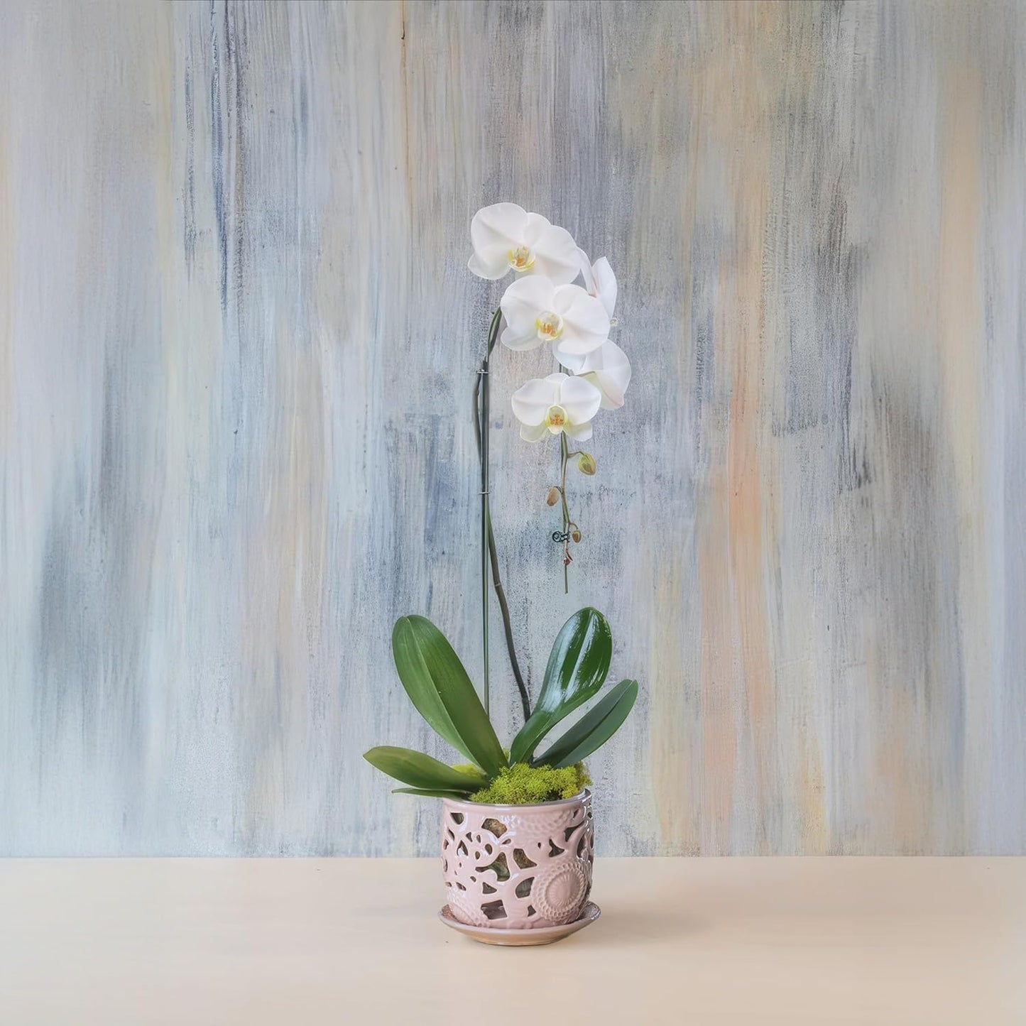 HERDUK Ceramic Orchid Pot, Orchid Pots with Drainage Holes & Saucer 6.5 Inch,Orchid Pot for Repotting Indoor, Orchid Containers with Precise Aeration & Drainage