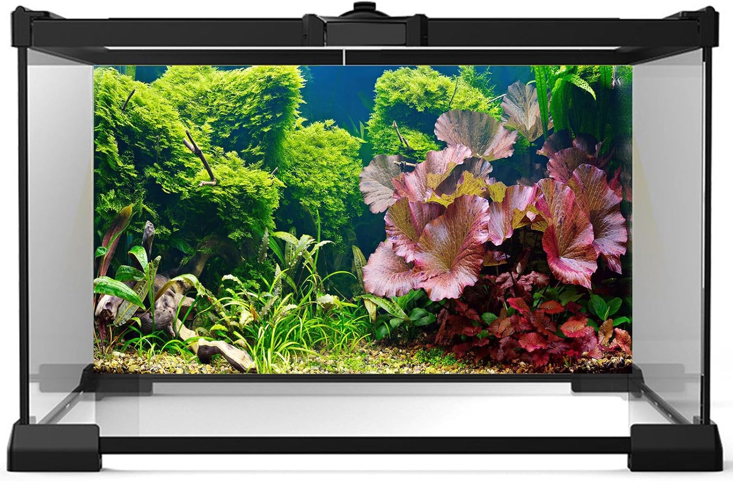 Aquarium Background Underwater Grass Leaves Pebble Aquarium Backdrop Vivid and Fresh Green Aquatic Plant Background Stone River Bed DeadWood Purple Leaves Tank Background Decor Vinyl 60x24in