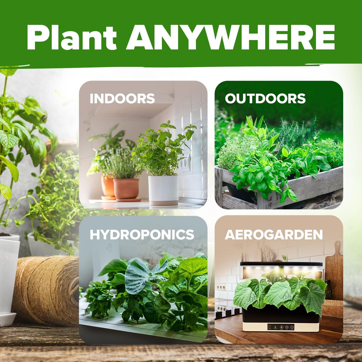 6 Mint Varieties – 600+ Heirloom Herb Seeds 𝗡𝗢𝗡-𝗚𝗠𝗢 𝗨𝗦𝗔 Peppermint, Spearmint, Mountain, Wild, Anise Hyssop, Common Mint | Indoor Outdoor Garden, Pots, Tea, Medicinal Use