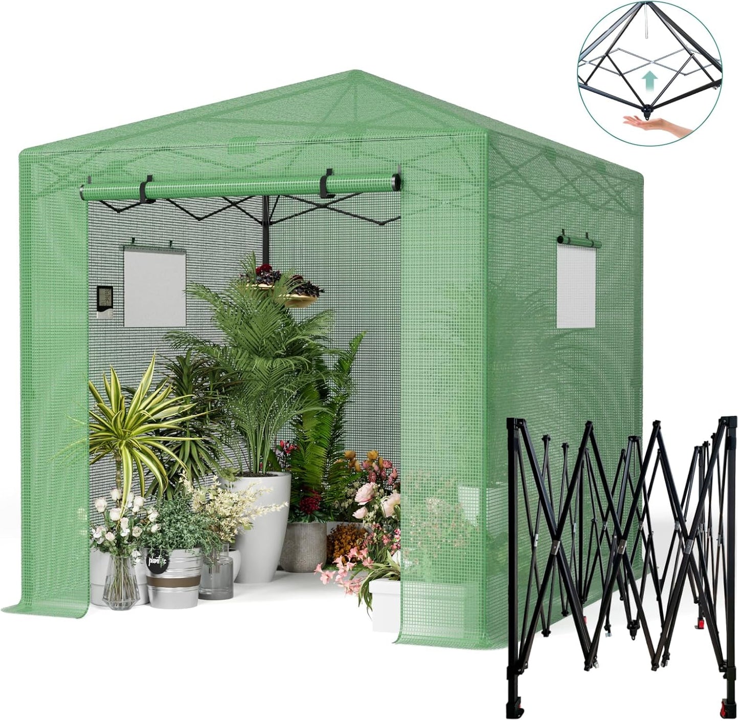 Pop Up Greenhouse, 8x6 FT Pop Up Green House for Outdoors, Portable Greenhouses, Walk-in Greenhouses, Popup Greenhouse Kit, Easy Set Up