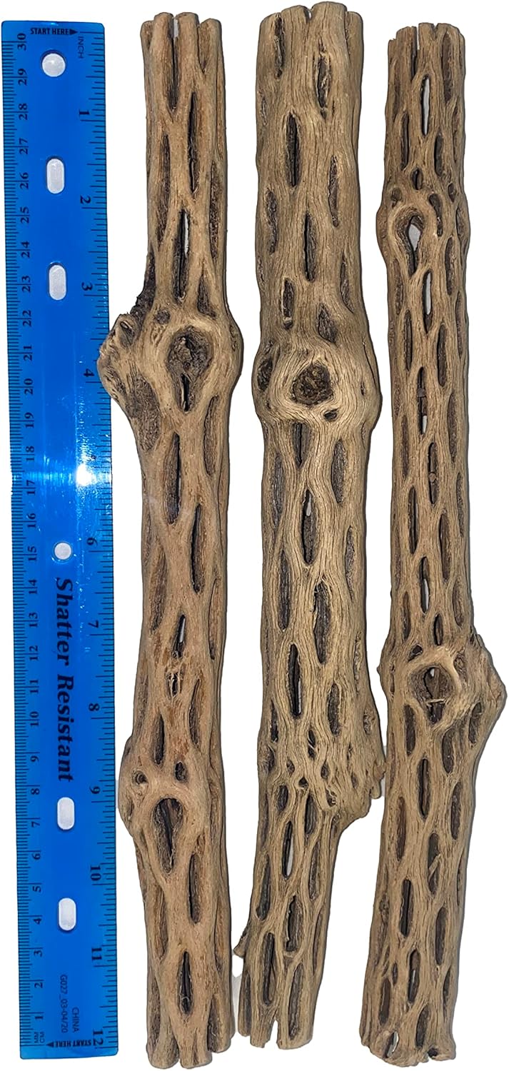 Awesome Aquatic Natural Cholla/Choya Wood 3 Pieces 12” for Shrimp Habitat and Food Treat Hermit Crabs Plecos Aquarium Decoration Lowers pH Hideouts and Chew Toys Reptiles Thorn Free Dried Organic