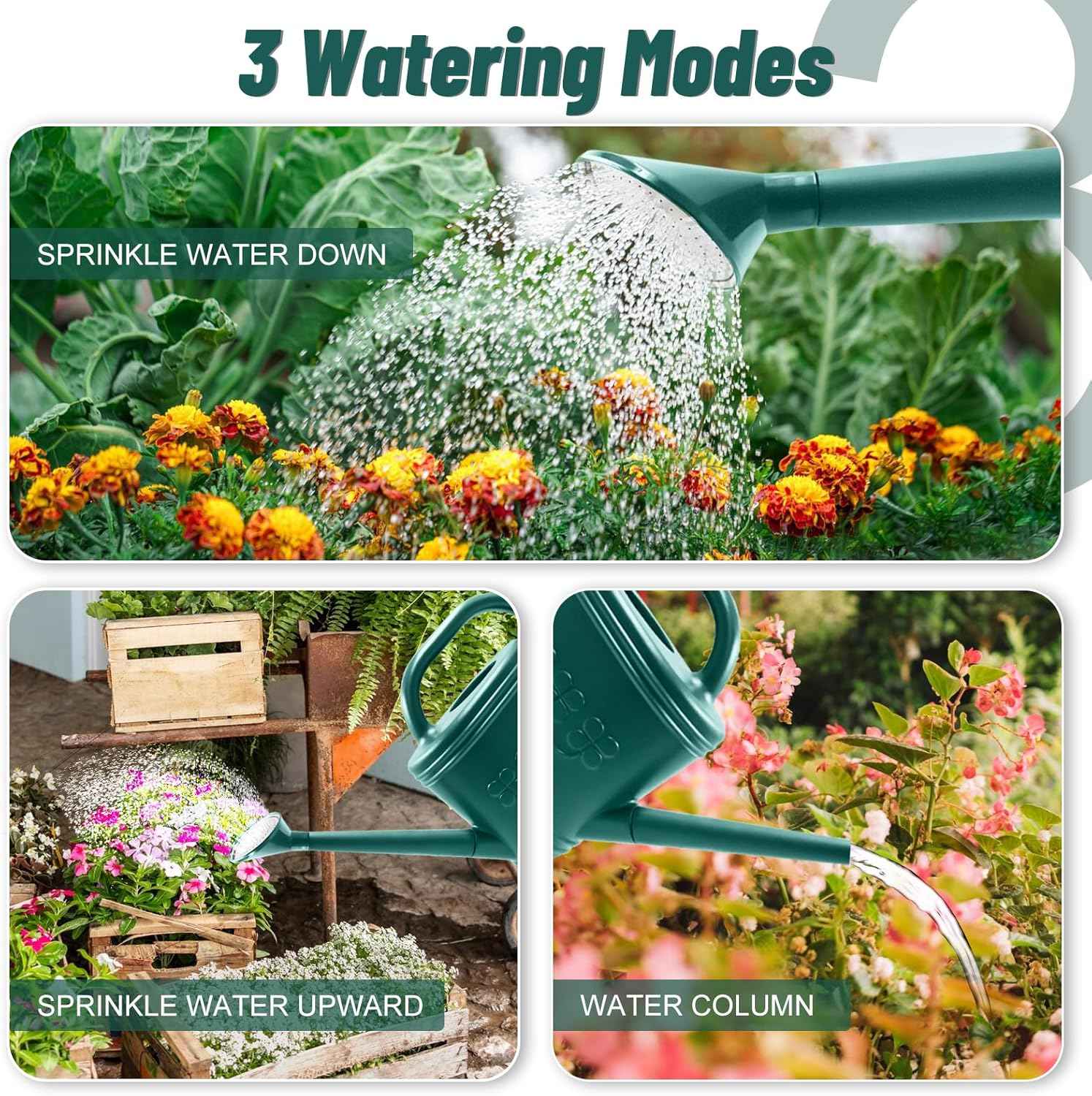 Watering Can for Indoor & Outdoor Plants, Plant Watering Can with Stainless Steel Shower Head, 1 Gallon Plastic Watering Can for Garden, Flowers, Vegetable, Greenhouse (Dark Green, 1 Gallon)
