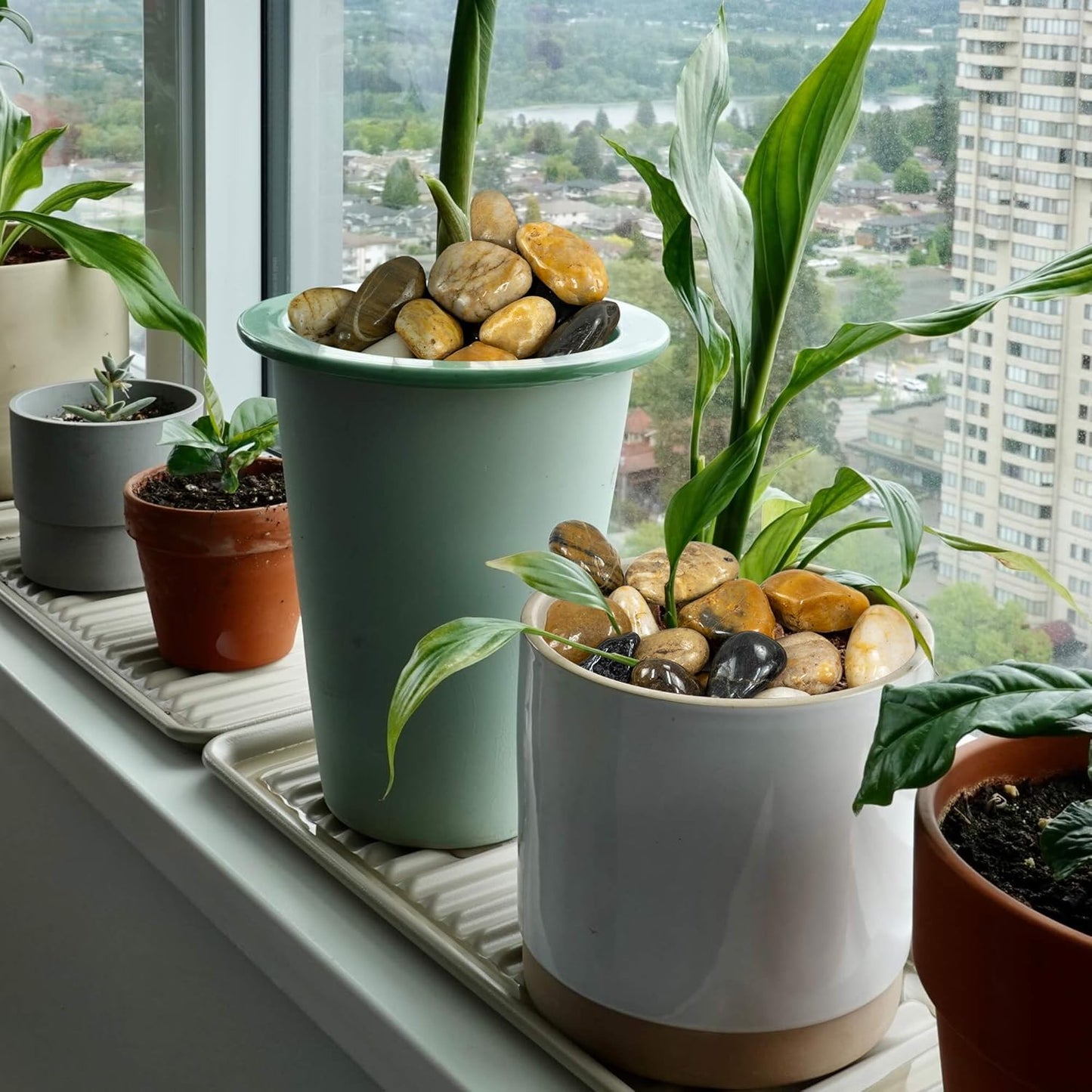 10lbs River Rocks, 2-3 Inch Large Pebbles for Indoor Plants, Natural High Polished Decorative Stones for Vase Filler Fish Tank, Mixed Color