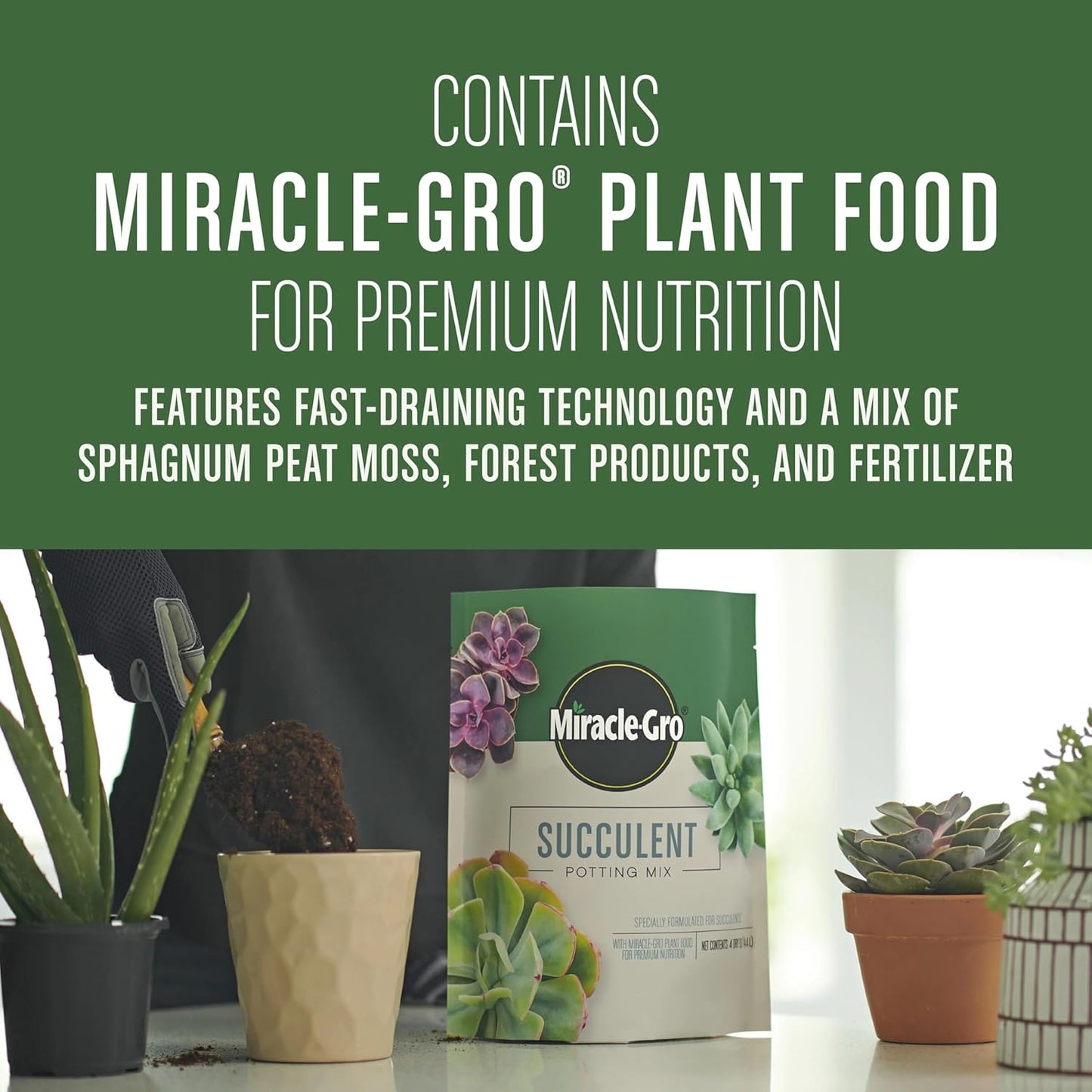 Miracle-Gro Succulent Potting Mix - Potting Soil Mix for Indoor Succulents, Aloe Vera and More, Made with Miracle-Gro Plant Food, 4 qt.