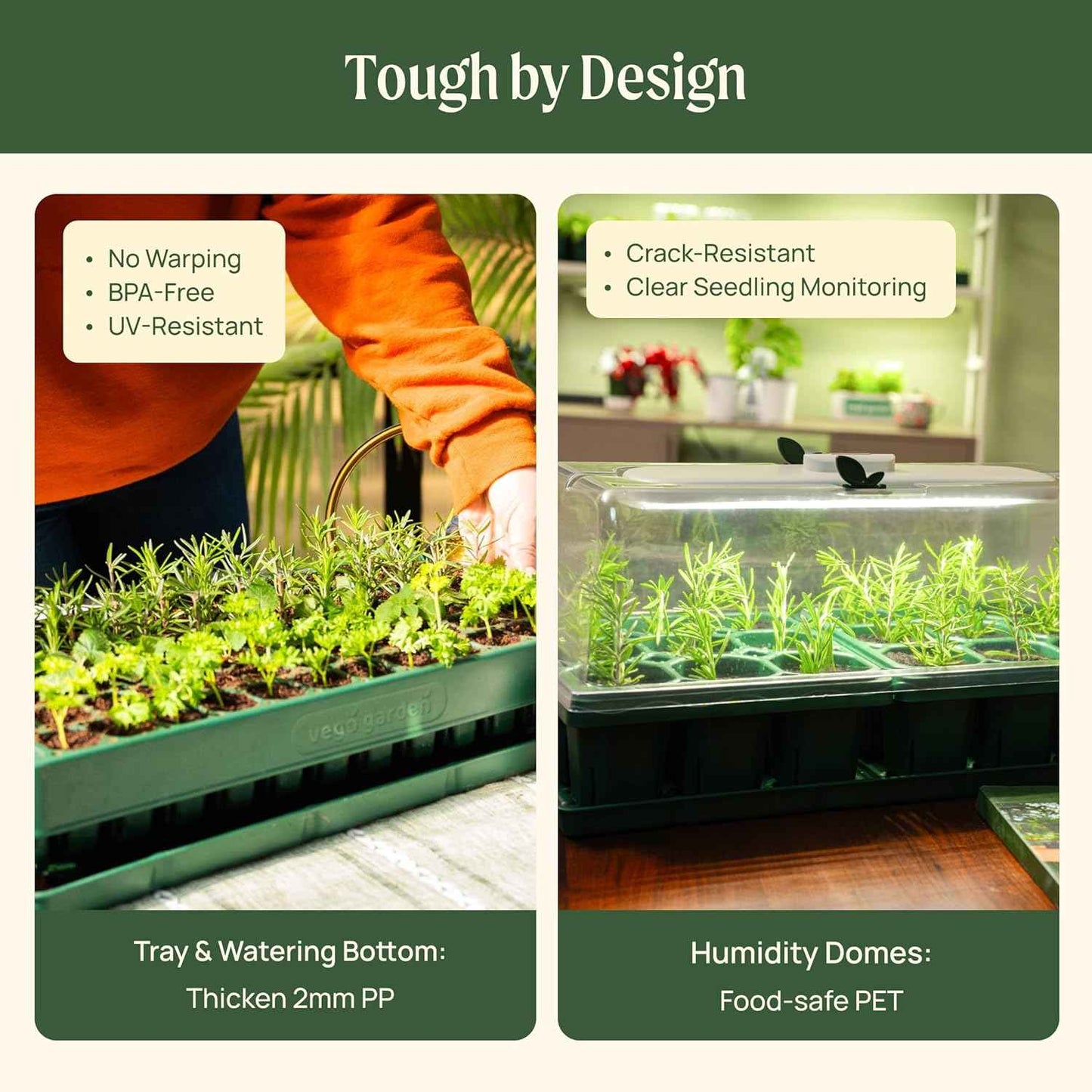Vego garden 3-in-1 Plant & Pop Board Seedling Popper Tool, 10" x 20", Works Perfectly with Stackable Seedling Trays