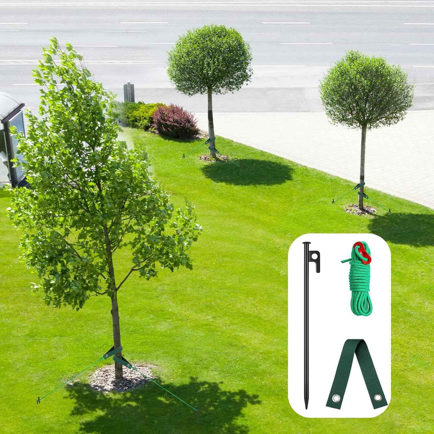 Suzile 48 Pcs Tree Stake Kit, Heavy Duty Tree Staking and Supports for Leaning Trees Include 11. 8'' Steel Stakes 15. 8'' Support Straps 13. 12 ft Rope for Anchoring Hurricane Protection (Green)