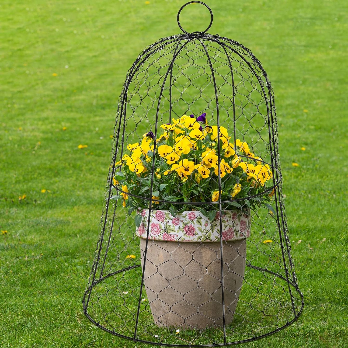 Coloch 5 Pack Garden Chicken Wire Cloche, 16x 13 Inches Black Dome Plant Protector Cover Strong Metal Garden Cloches Protecting Plants and Seedling from Animals