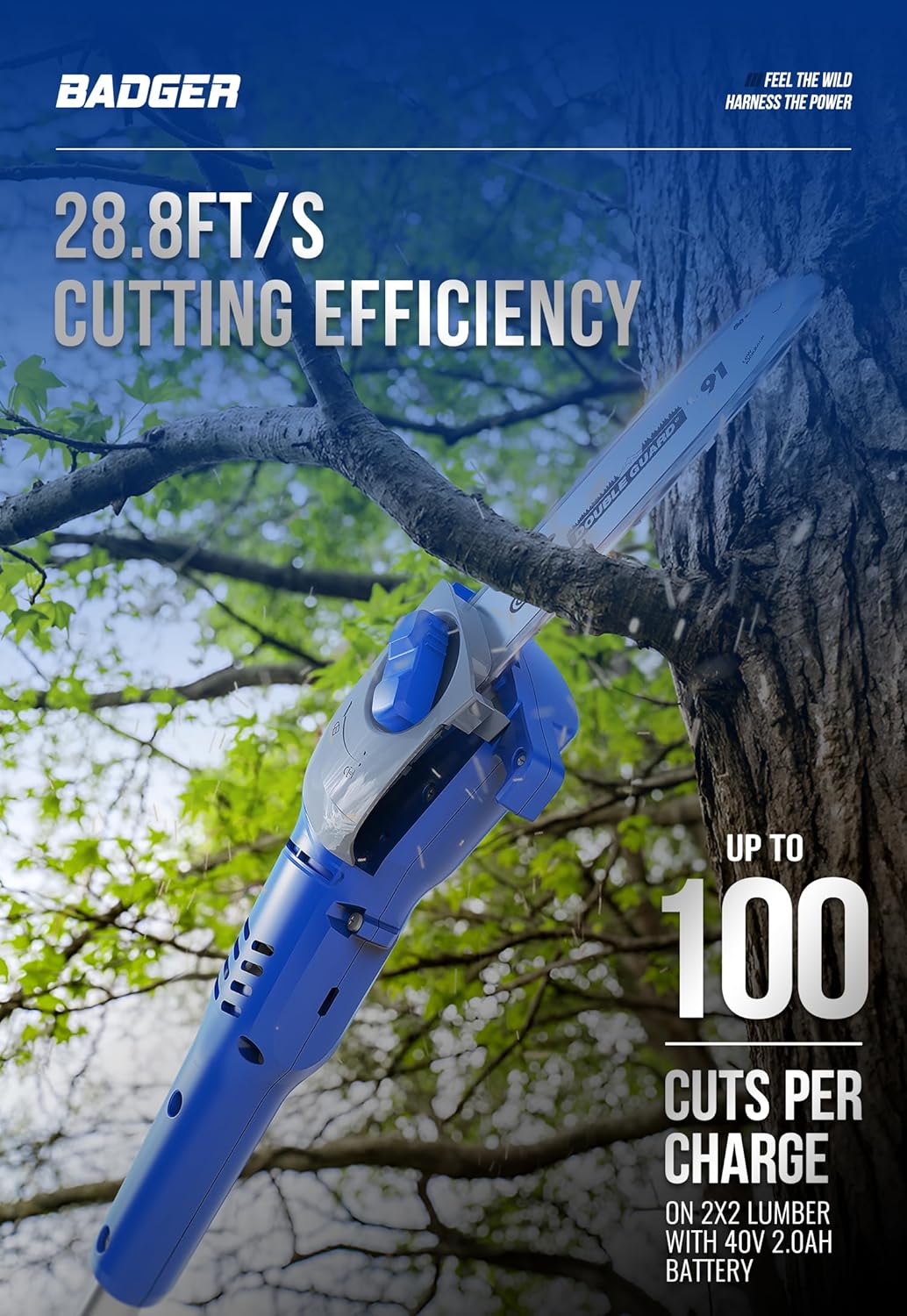 WILD BADGER POWER Pole Saw Cordless 40V 8'' Electric 2.0Ah with Detachable Pole, 2Ah Battery and Charger included