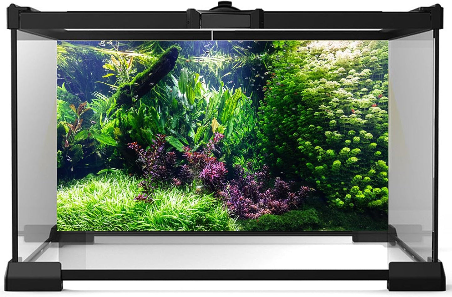 Aquarium Background Various Underwater Grass Plants Aquarium Backdrop Vivid and Fresh Green Aquatic Plants Stone River Bed and Dead Wood Tank Background Vinyl 72x16in