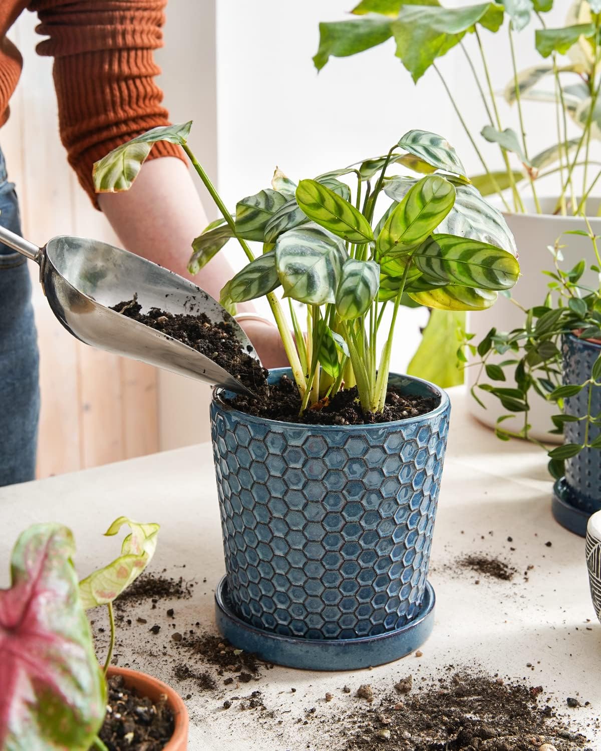 LE TAUCI Ceramic Pots for Plants, 5.5 Inch Plant Pots with Drainage and Saucer, Indoor Plant Pots for Succulents, Snake Plants, Cactus, and More, Set of 2, Reactive Glaze Blue