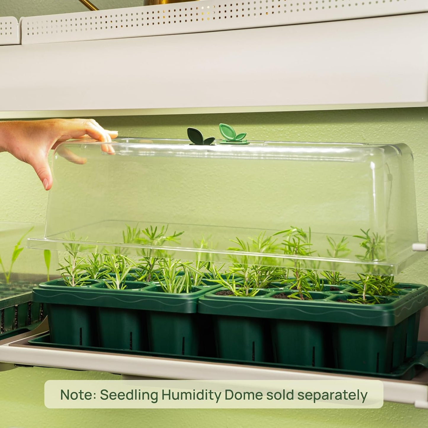 Vego garden Giga Seedling Trays - 2 Pack, 9-Cell UV-Resistant Reusable Starter Trays for Greenhouse/Garden (No Lids)