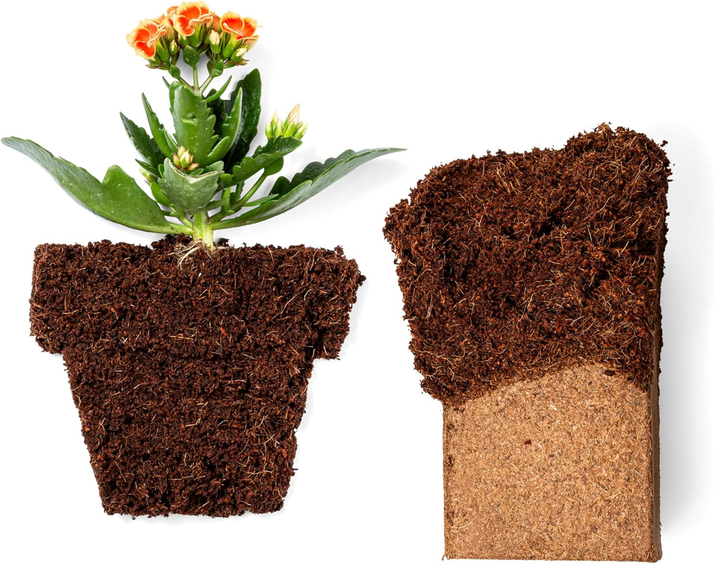 Coco Coir 650gm Bricks (5-Pack) - Organic Coco Coir for Plants & Gardening - OMRI-Listed Cocopeat for Garden Soil, Seed Starter Soil, & Mulch - Organic Coconut Bricks - Coconut Fiber Potting Mix