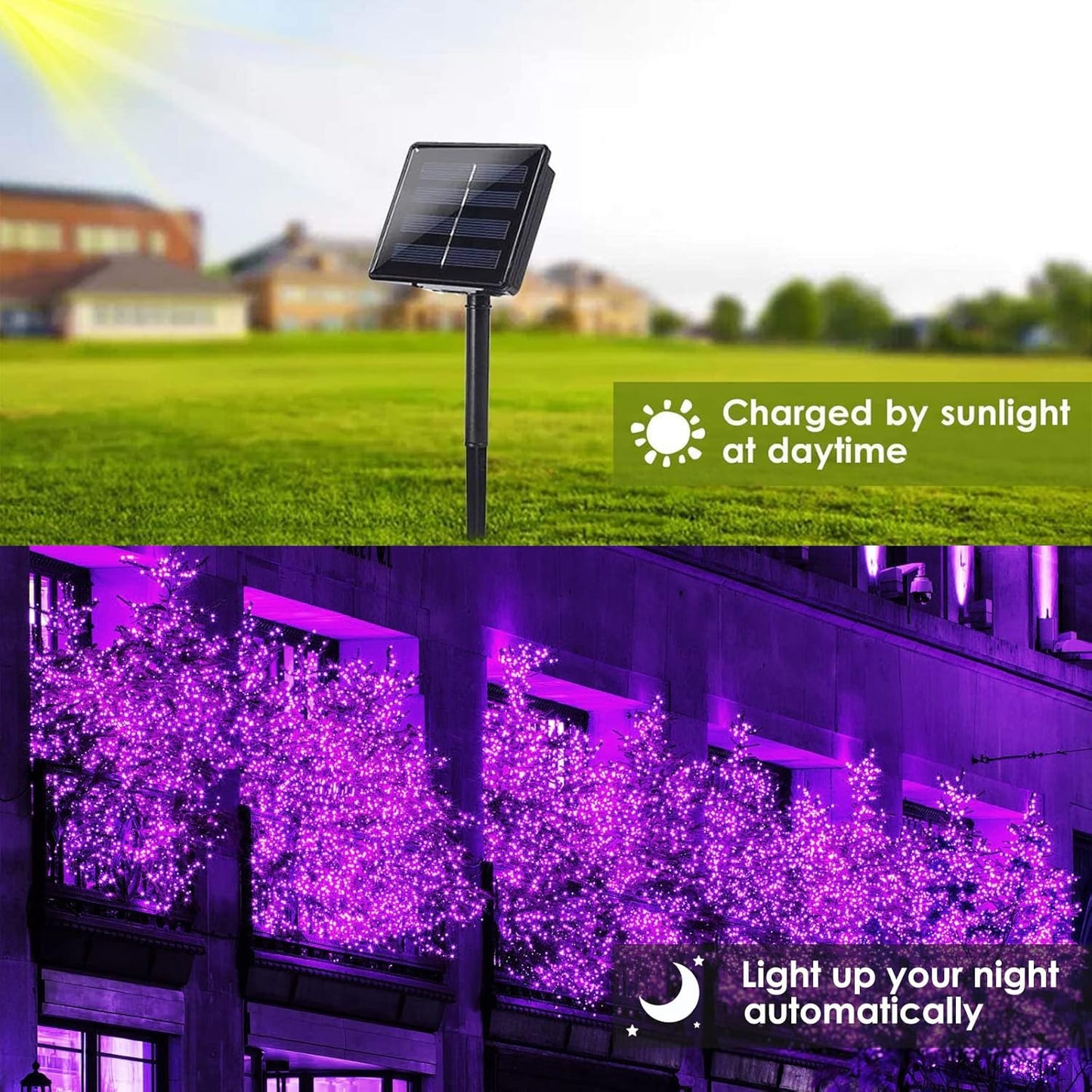 Purple Halloween Solar String Lights Outdoor, 2-Pack 80FT 200LED Solar Twinkle Light Waterproof, Copper Wire 8 Modes Purple Fairy Lights for Garden, Fence, Tree Decor, Halloween Decoration Outdoor