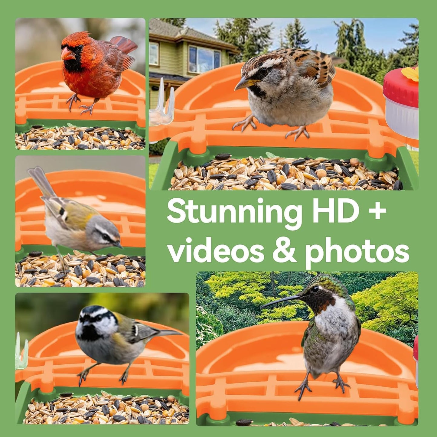 Smart AI Bird Feeder with Camera,2.5K HD Live View,Solar Powered,Instant Birds Species Recognition,Real Time Alerts,Wireless Birdhouse with Night Vision,Ideal Gift,Green