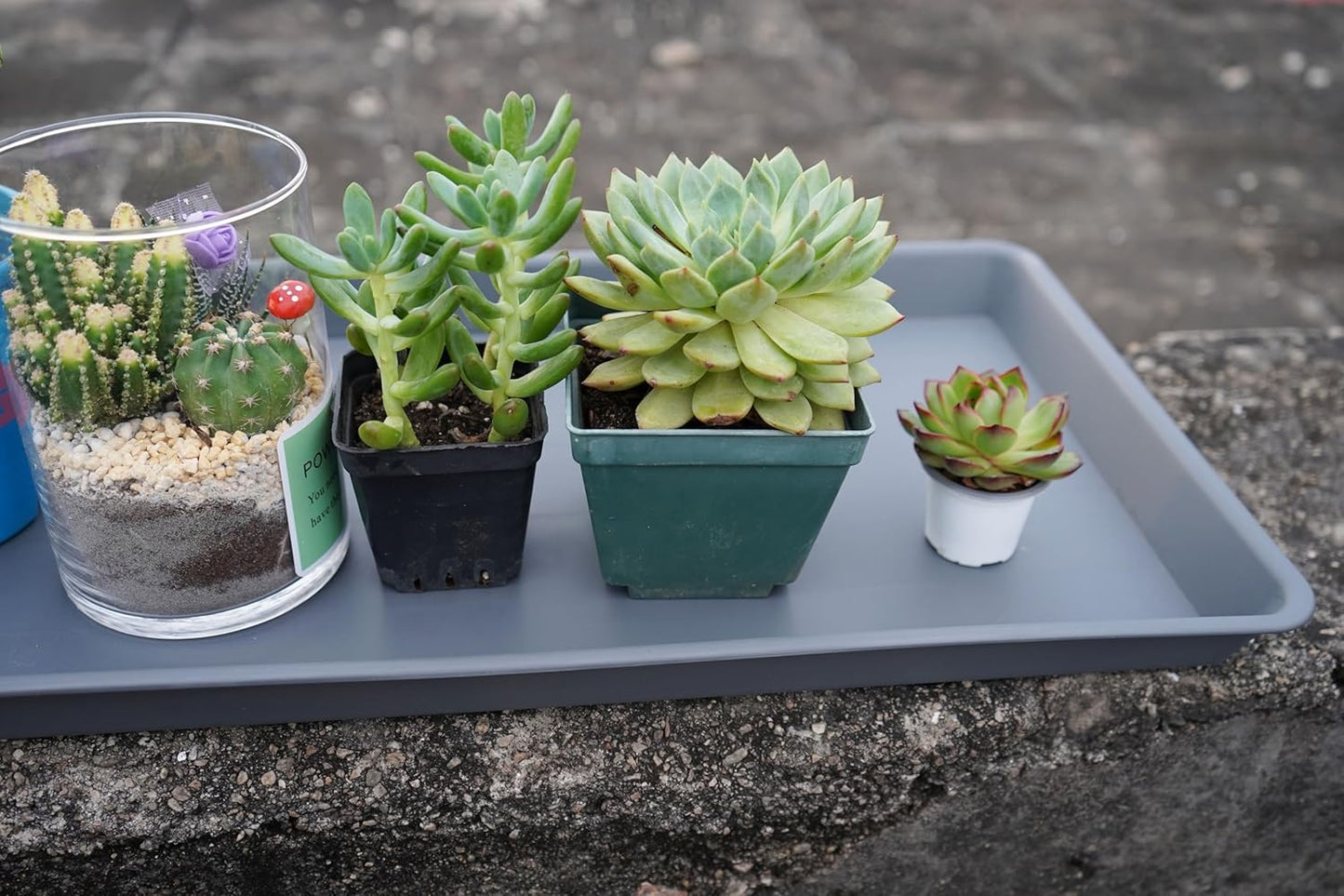 Rectangle Plant Tray, Plant Drip Tray, Plant Pot Saucers, Plant Germination Trays, Plant Saucers, 14.5'' x 11'' x 1.5'' (4 pack), Gray