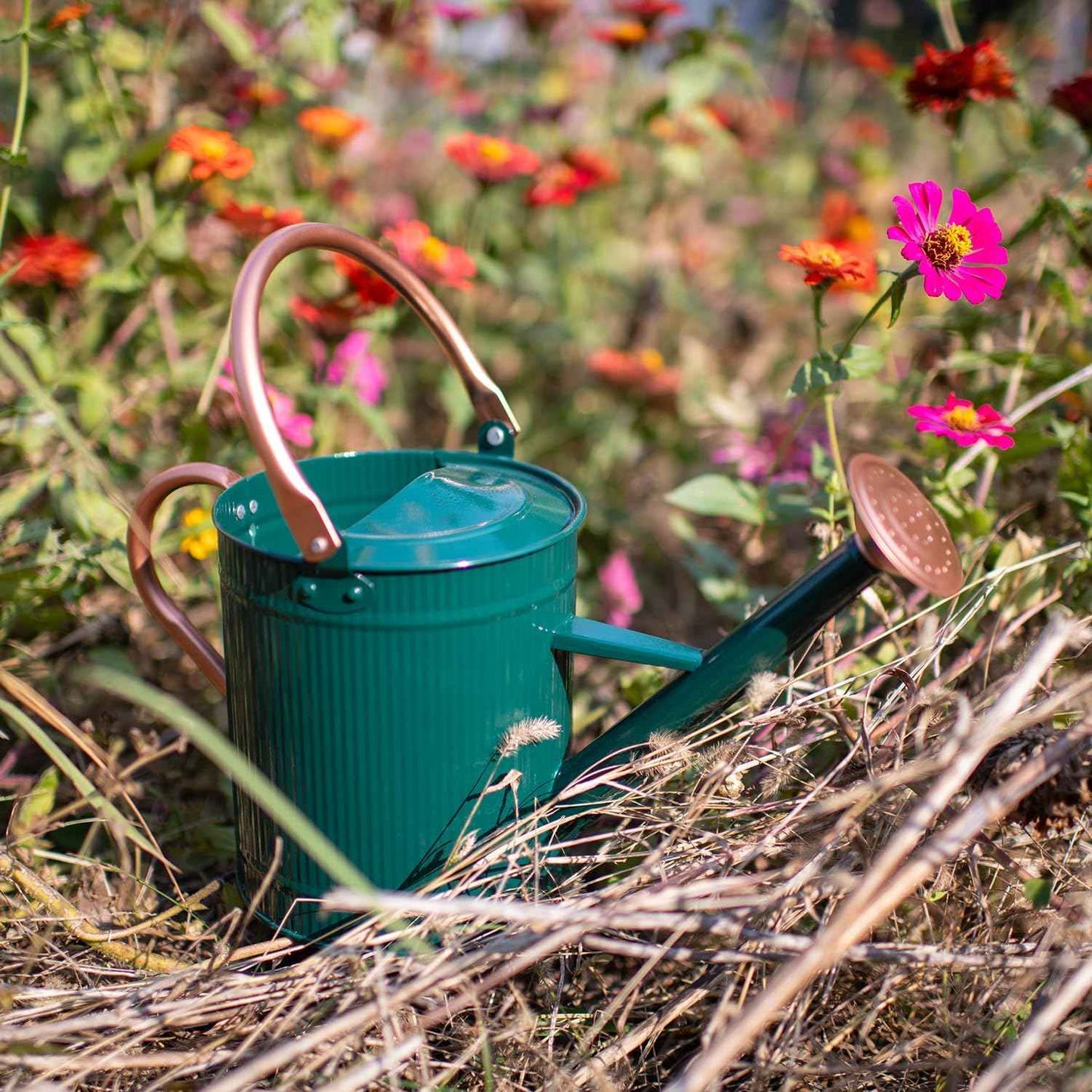 1 Gallon Watering Can, Plant Wate Can, Metal Watering Can with Removable Spout, Galvanized Watering jug, Nice Green Water Can for Indoor and Outdoor use
