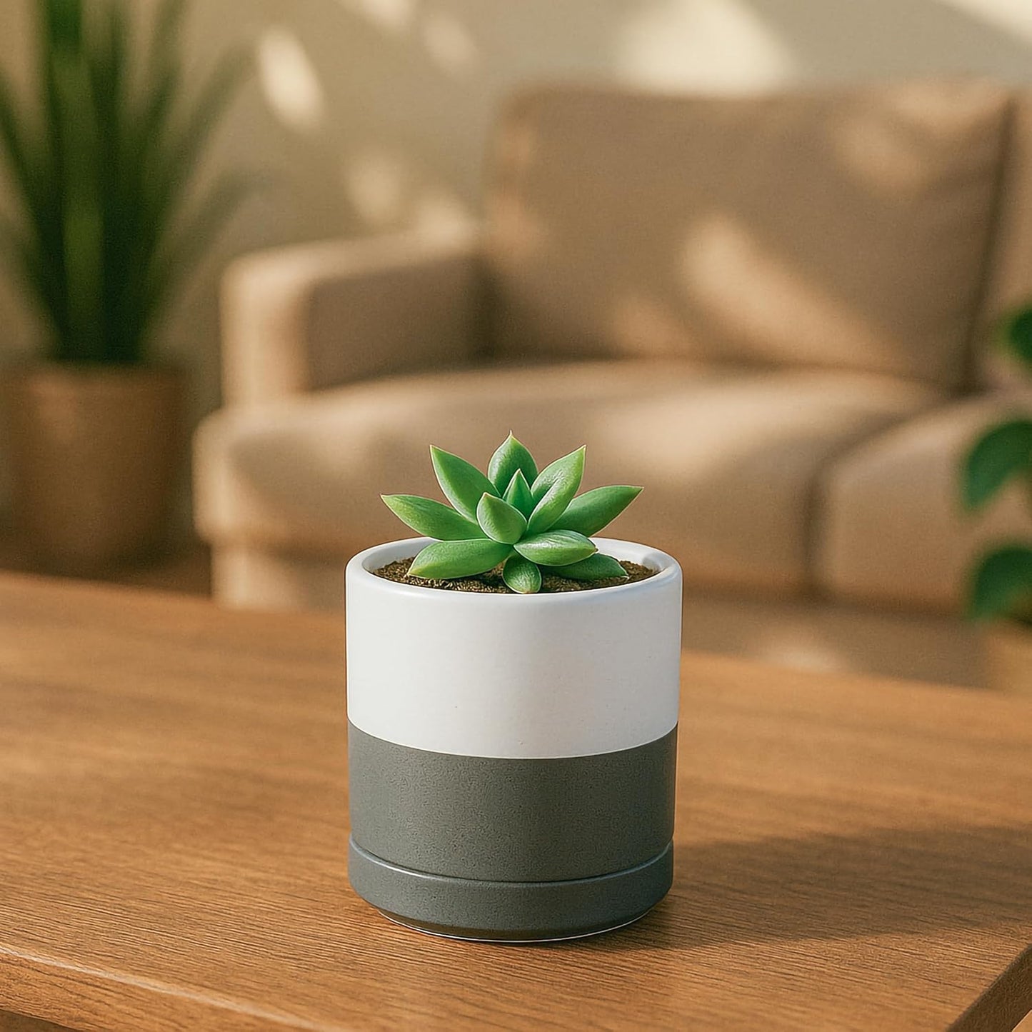 D'vine Dev Set of 4 Small Ceramic Plant Pots, 3.5 Inch Succulent Planter Pot for Plants with Drainage Hole and Saucer, White/Speckled Grey, 94-X-A-6