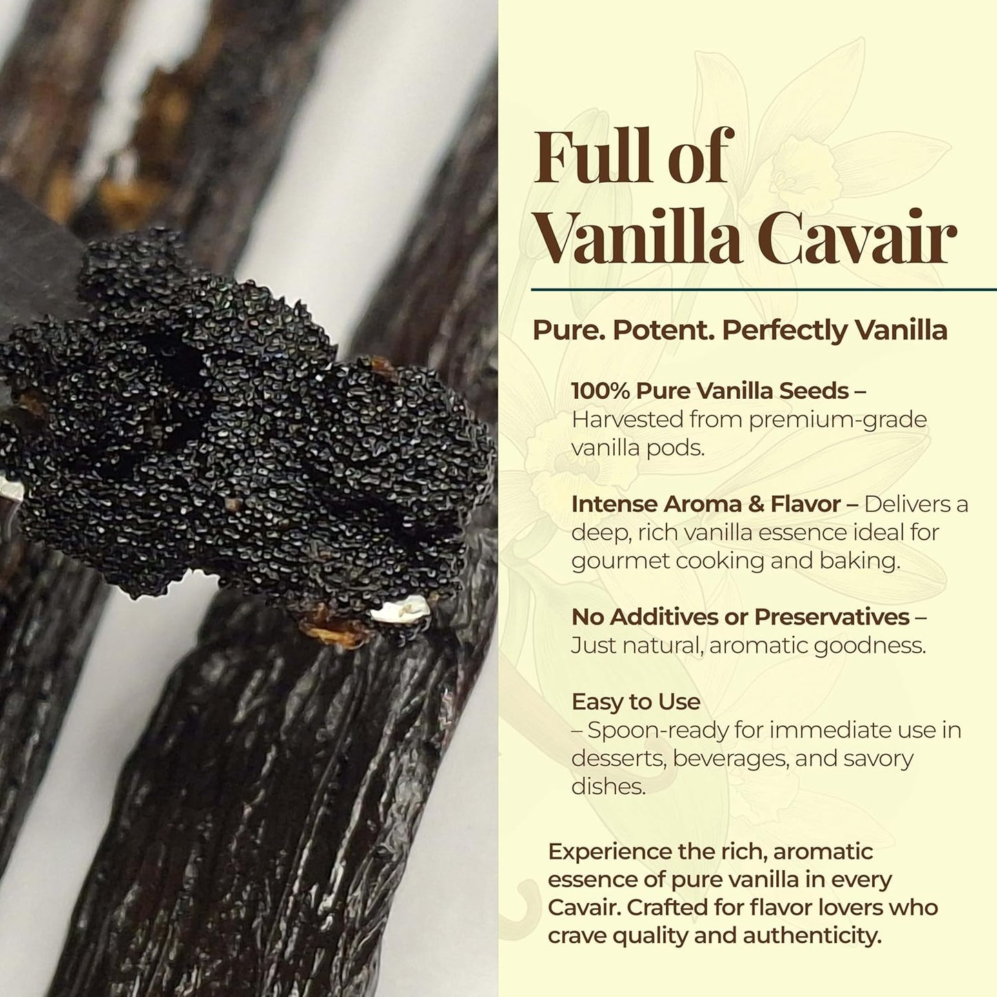 10 Vanilla Beans Grade A, Whole Vanilla Bean Pods For Making Extract, 6-8 Inches, Non GMO. Perfect For Vanila Powder, Baking & Desserts. by NYVanilla