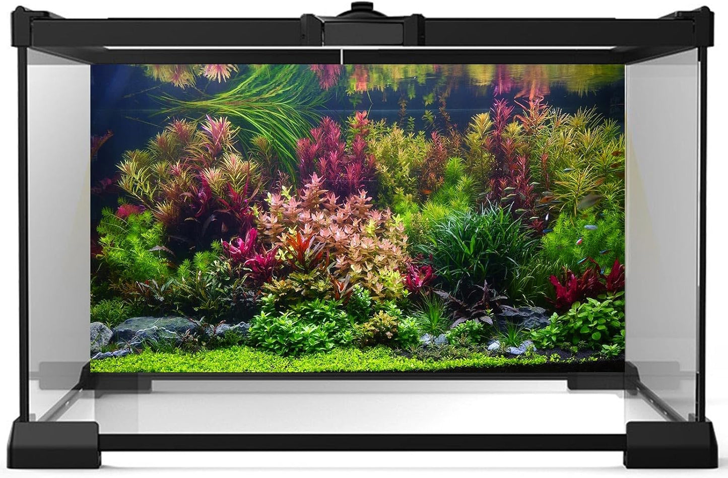Aquarium Background Various Vivid Fresh Underwater Aquatic Plant Fish Tank Aquarium Backdrop Stone River Bed and Lake Fish Terrarium Background Decor Vinyl 30x18in
