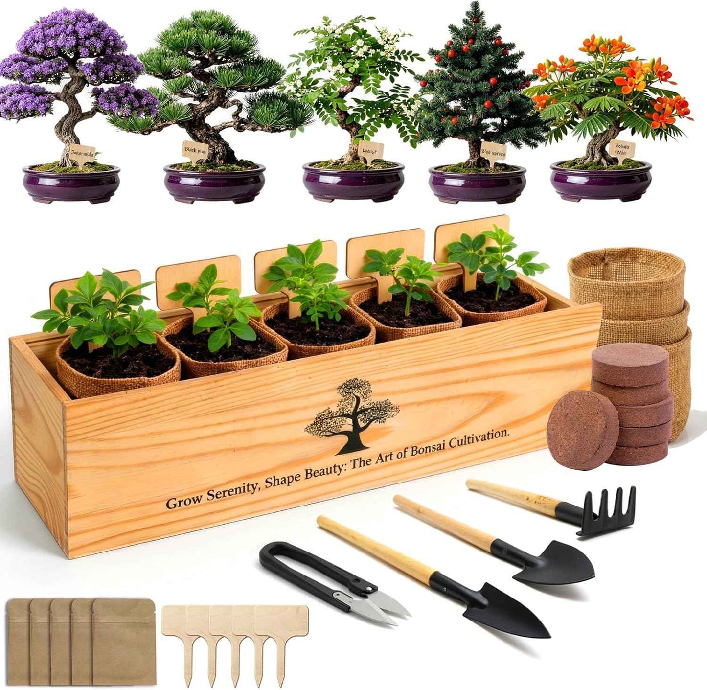 5X Bonsai Starter Kit, Bonzai Seed Kits, Durable Planting Bags, Complete Indoor Starter Kit for Growing Bonsai Plants, Gardening Gifts for Women & Men