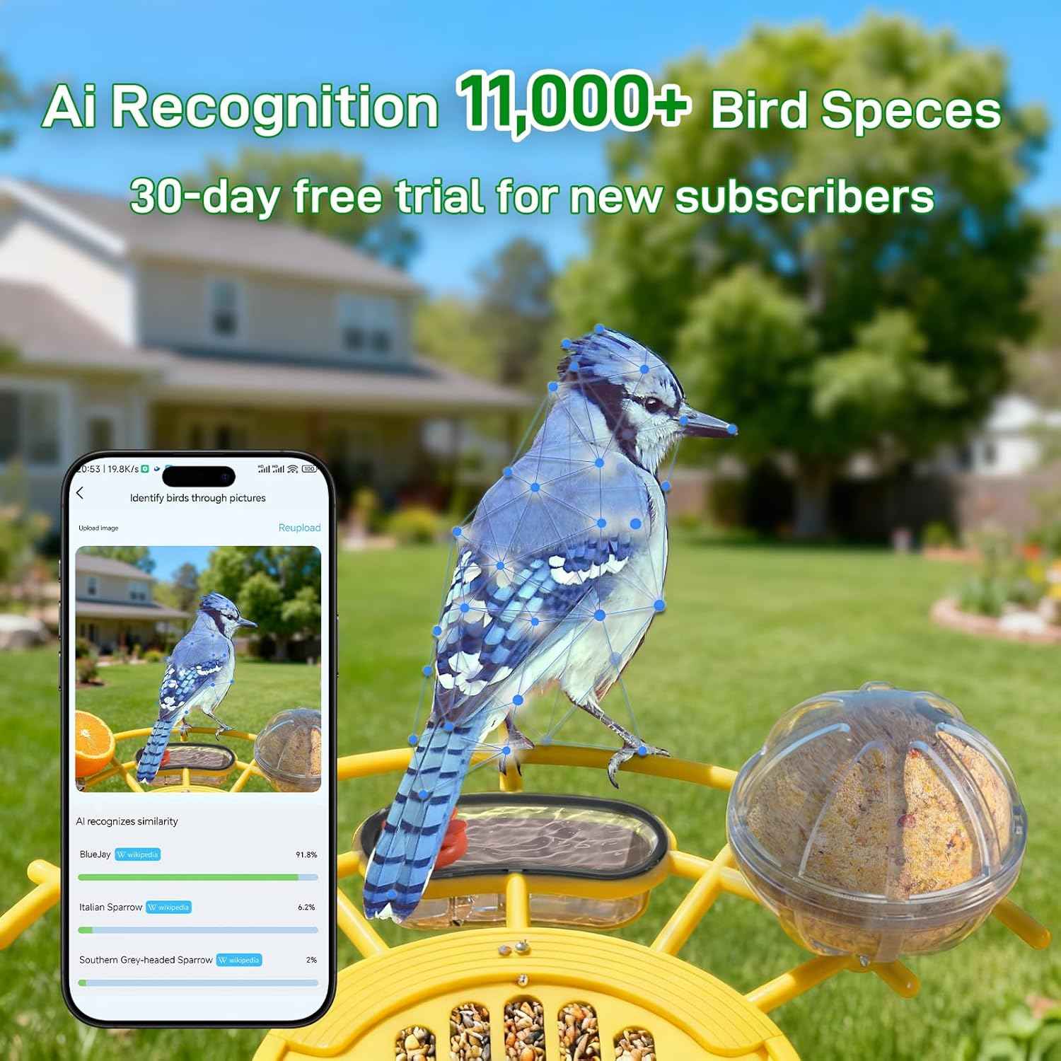 Smart Bird Feeder with Camera: Hummingbird Feeder with Solar Powered for Outdoors, Bird House with 2K HD Video & AI Bird Species Identification, Arrival Alerts, Gift for BirdLovers - Yellow