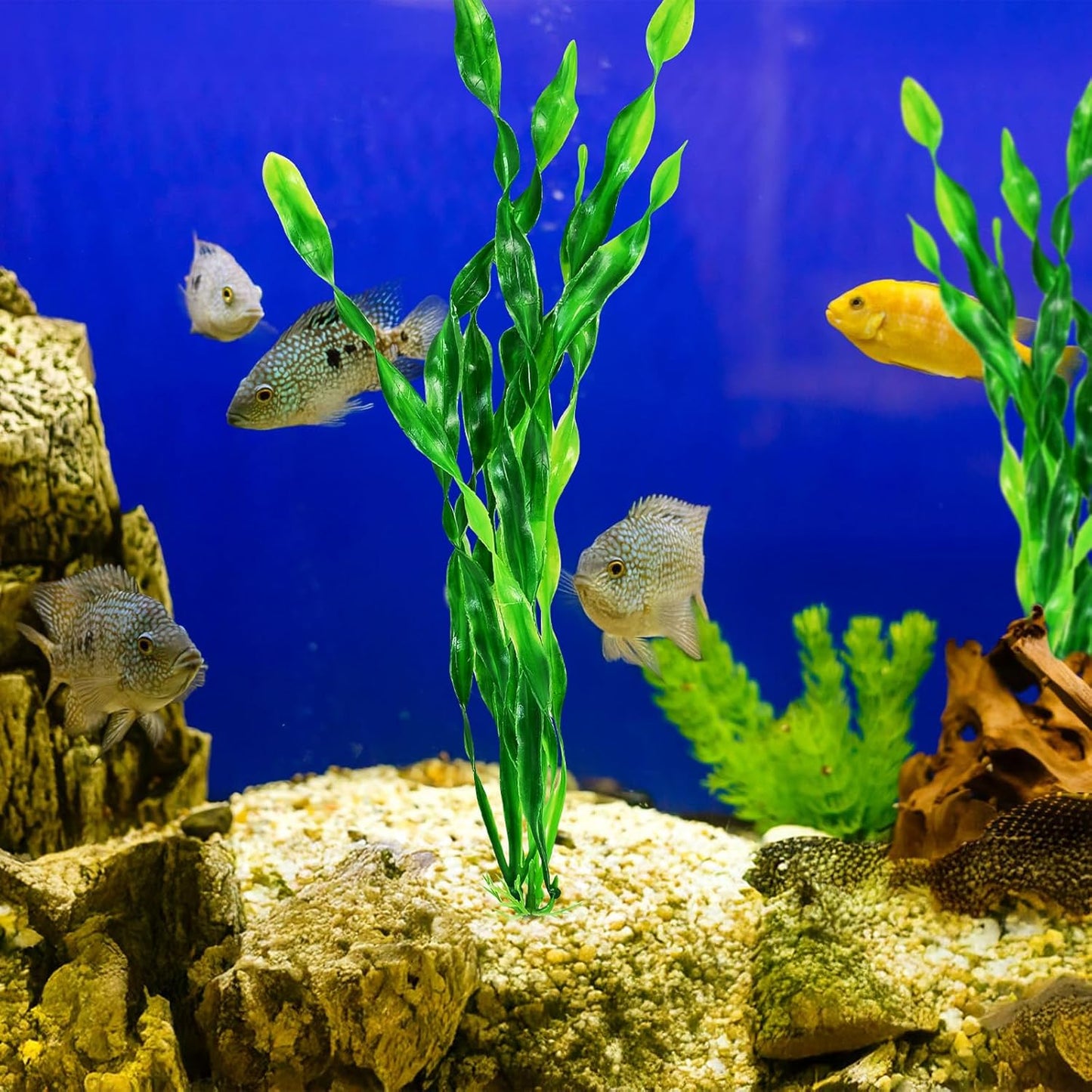 10 PCS Artificial Seaweed Water Plants for Aquarium, 12 Inch Fish Tank Plastic Plant Decorations(Green) (12 Inches)