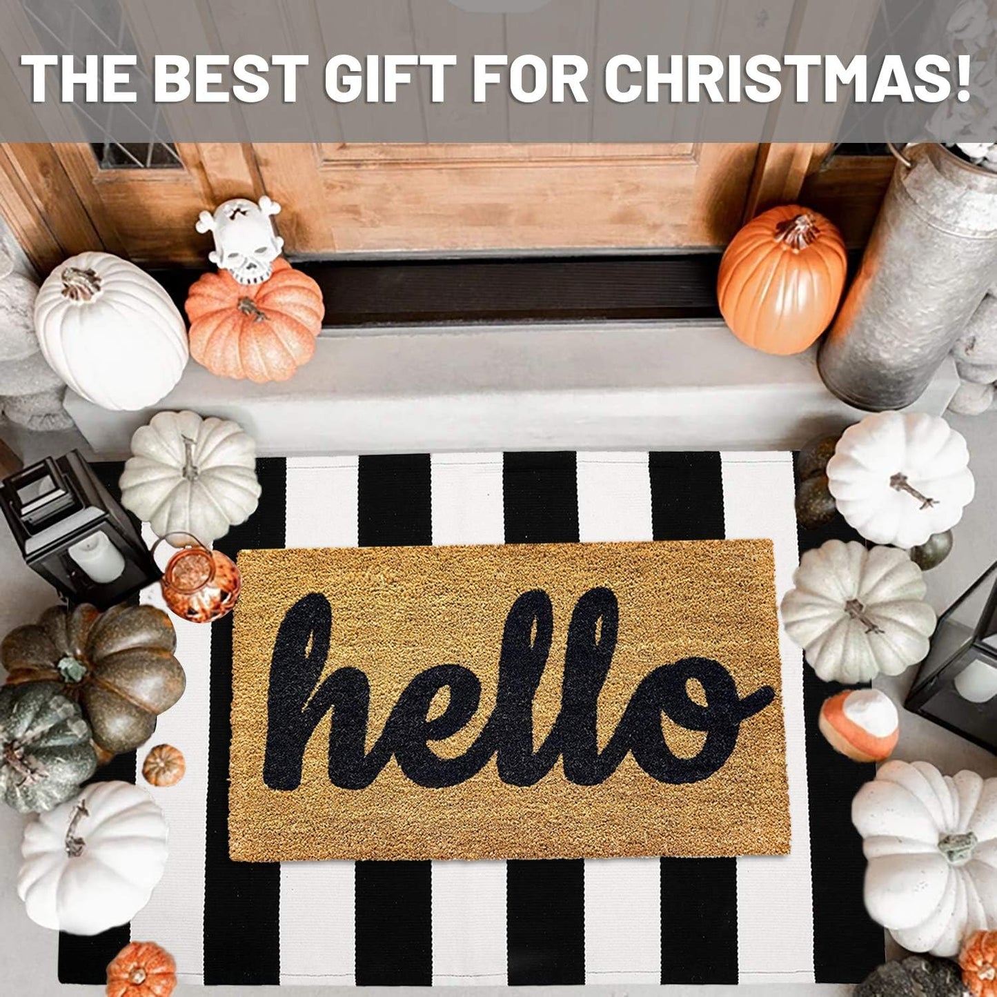 IOHOUZE Black White Striped Rug -27.5" X 43" Front Door Mats Outdoor,Washable Rug for Front Porch Decor,Spring Summer Welcome Mats Outdoor Indoor, Doormat for Farmhouse/Entryway/Home Entrance