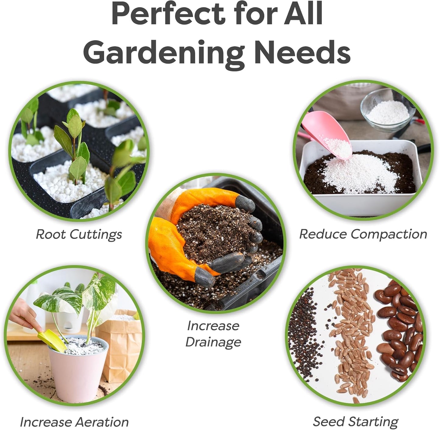 Organic Perlite by Perfect Plants — Add to Soil for Indoor & Outdoor Container Plants for Drainage Management and Enhanced Growth (8qts.)