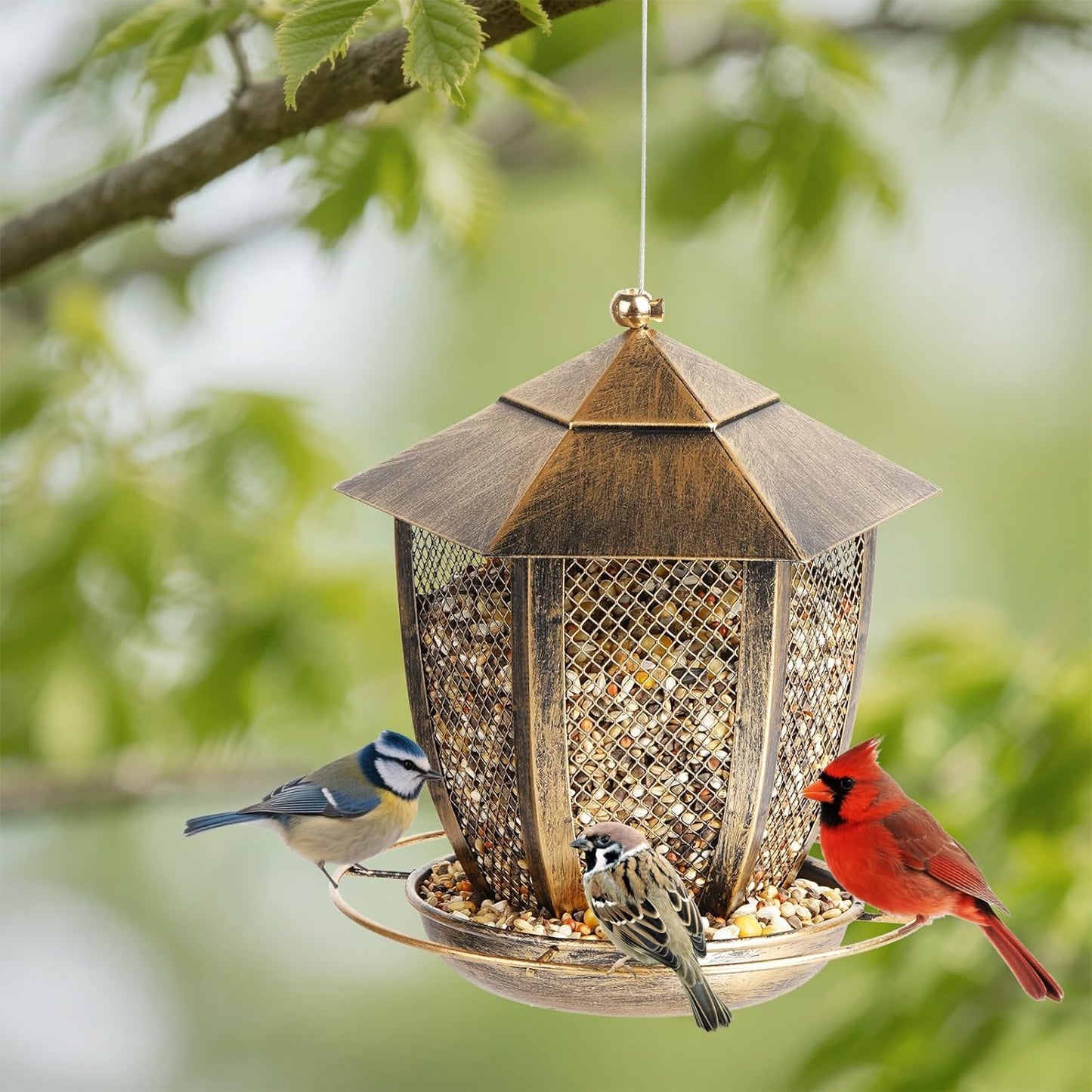 LBTING Bird Feeder for Outside, Hexagon Lantern-Shaped Metal Bird Feeder, Wild Bird Feeders for Hanging Outdoor Garden Yard