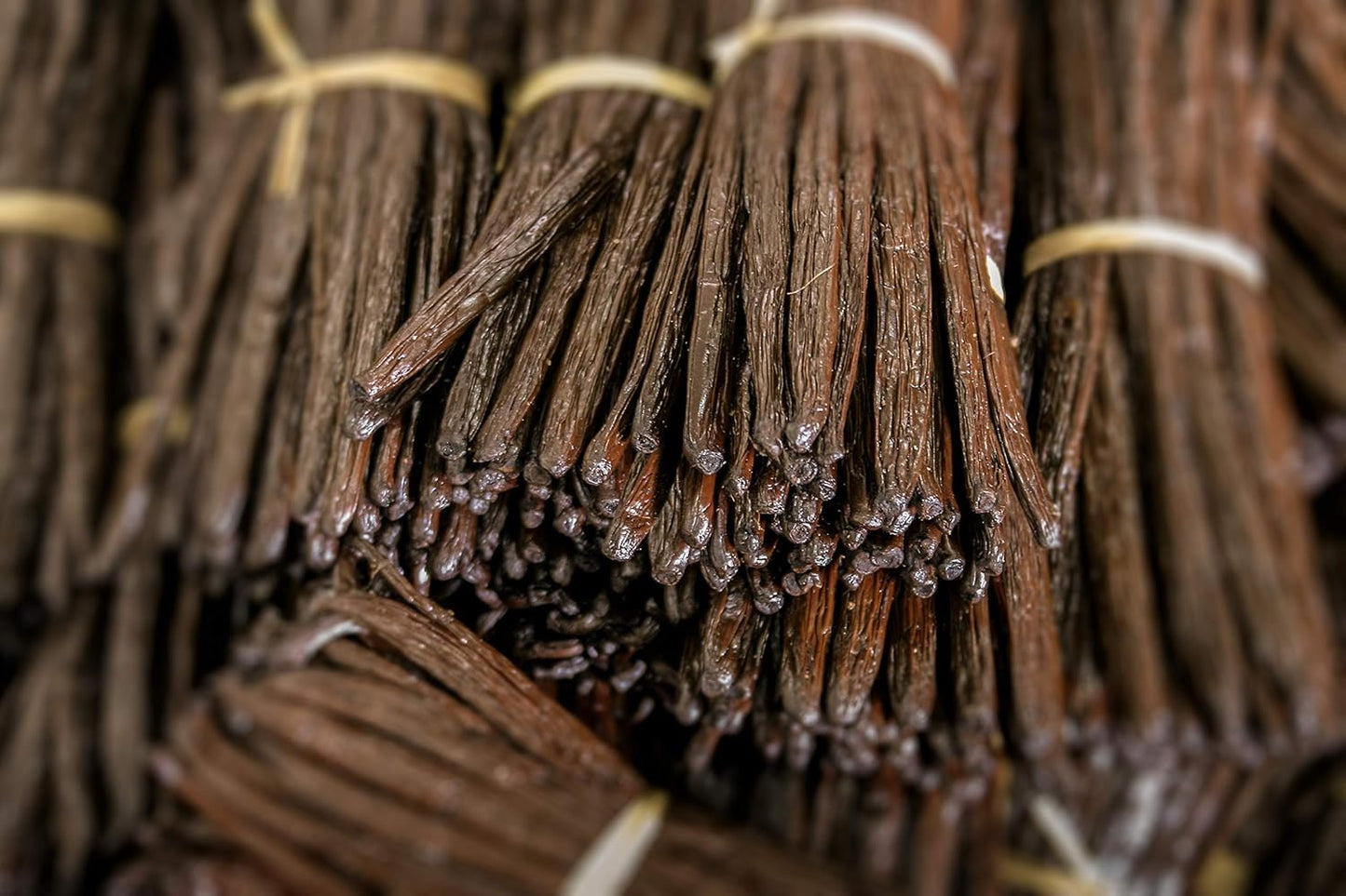 10 Mexican Vanilla Beans Whole Grade A Gourmet Vanilla Pods for Homemade Vanilla Extract and Baking from Veracruz, Mexico