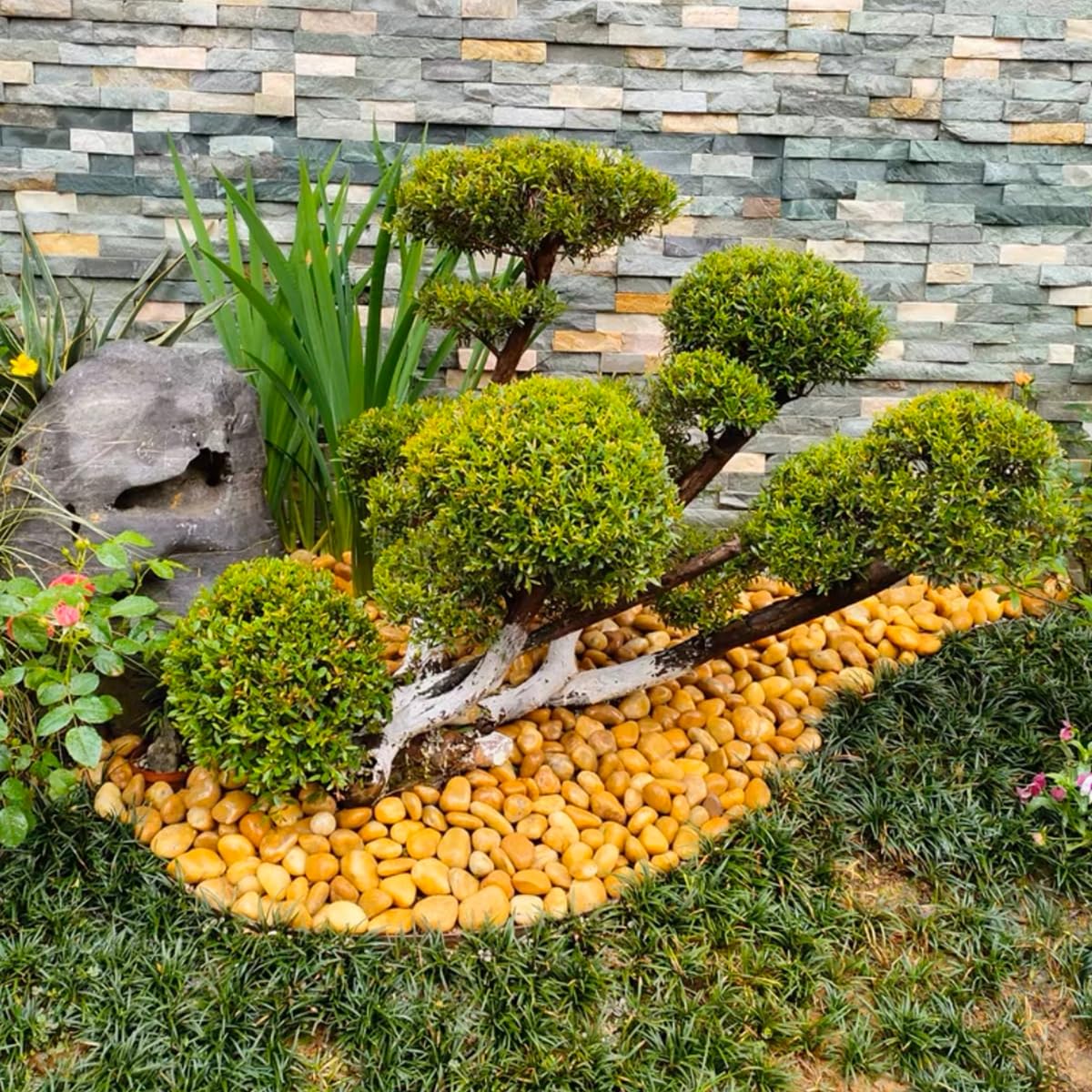 Rocks for Plant 5lbs, Yellow River Rocks 2-3 Inch Natural Pebbles for Indoor Plants, High Polished Decorative Stones Vase Filler Fish Tank Aquariums Landscaping Garden