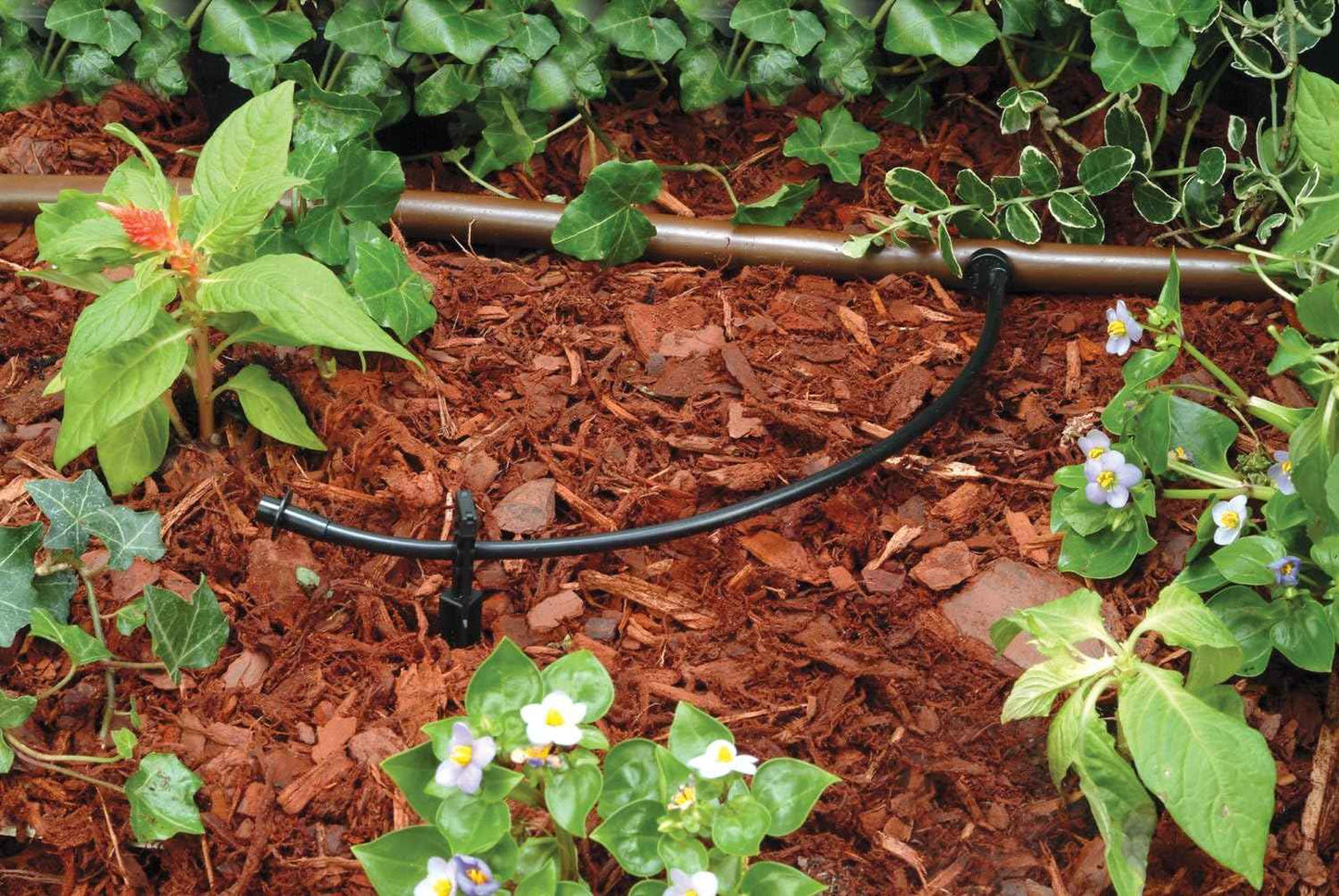 Rain Bird T22-100S Drip Irrigation 1/4" Blank Distribution Tubing, 100' Roll, Black
